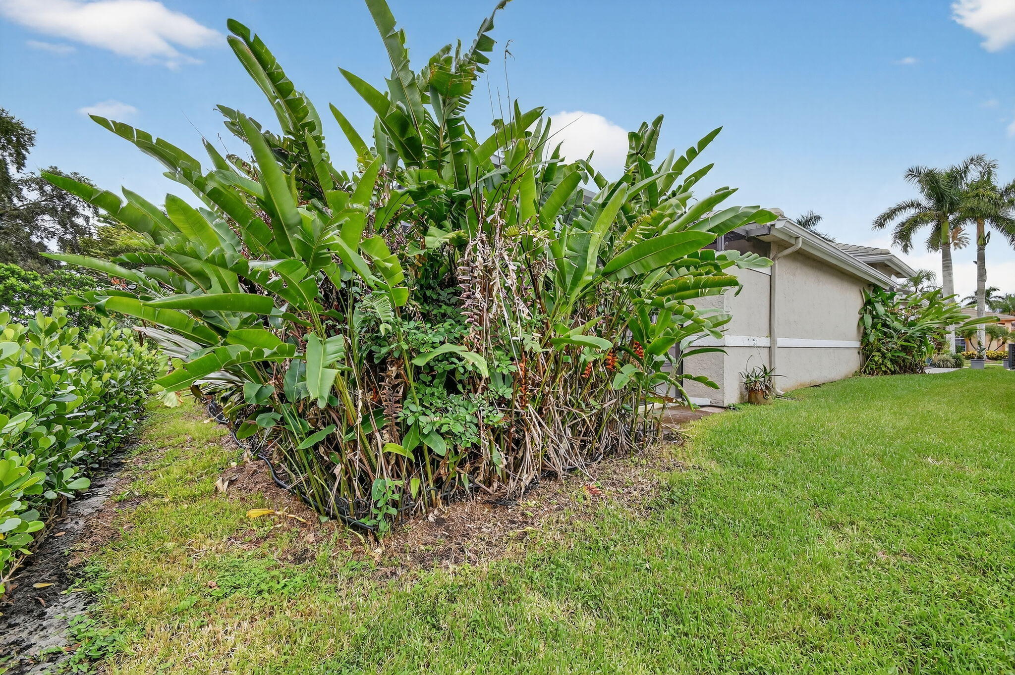 MLS #RX-11124389 image #53