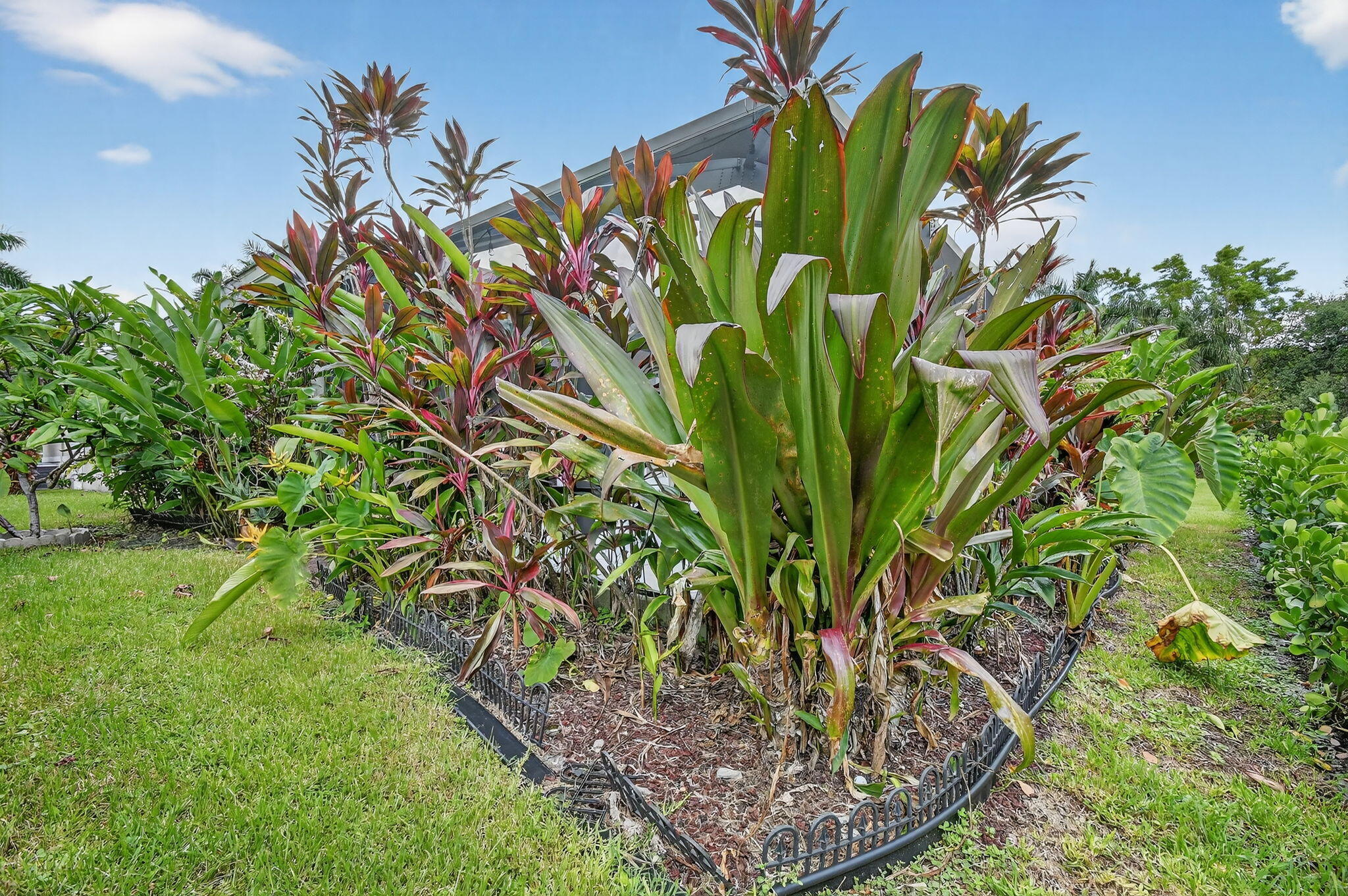 MLS #RX-11124389 image #54