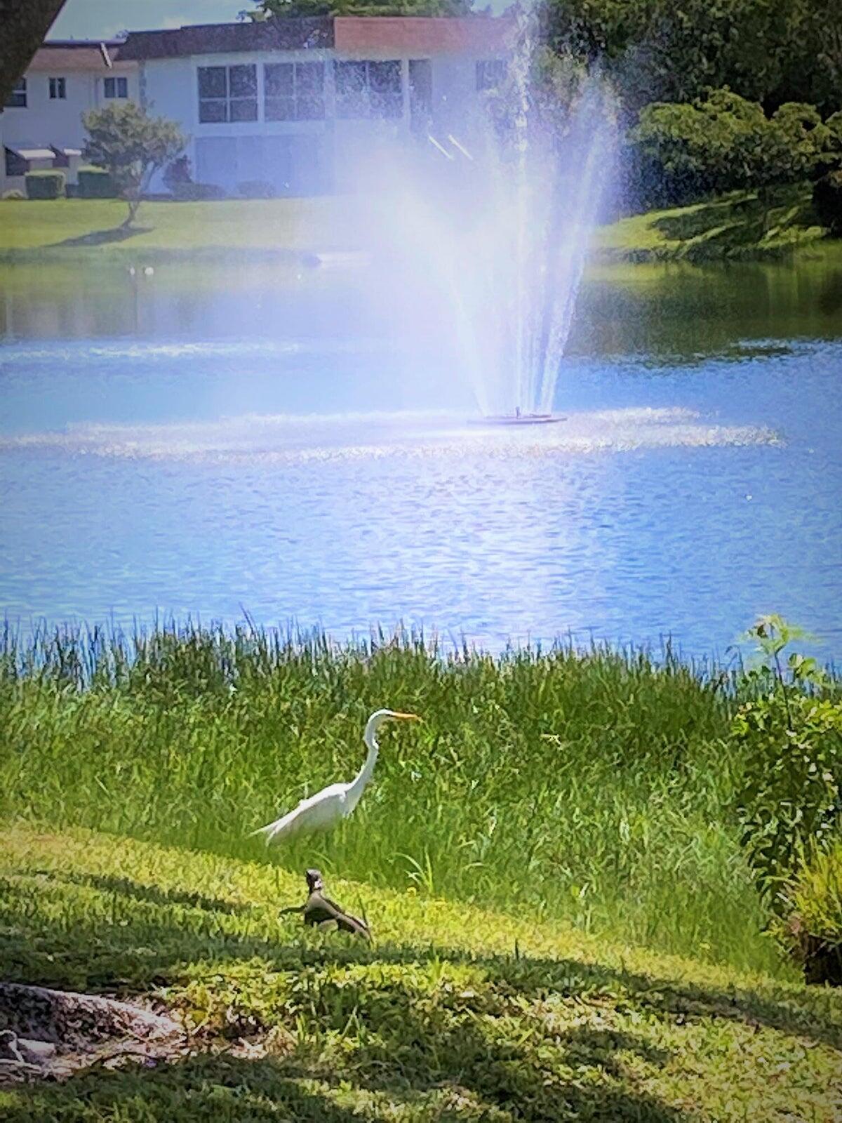 MLS #RX-11124621 image #12