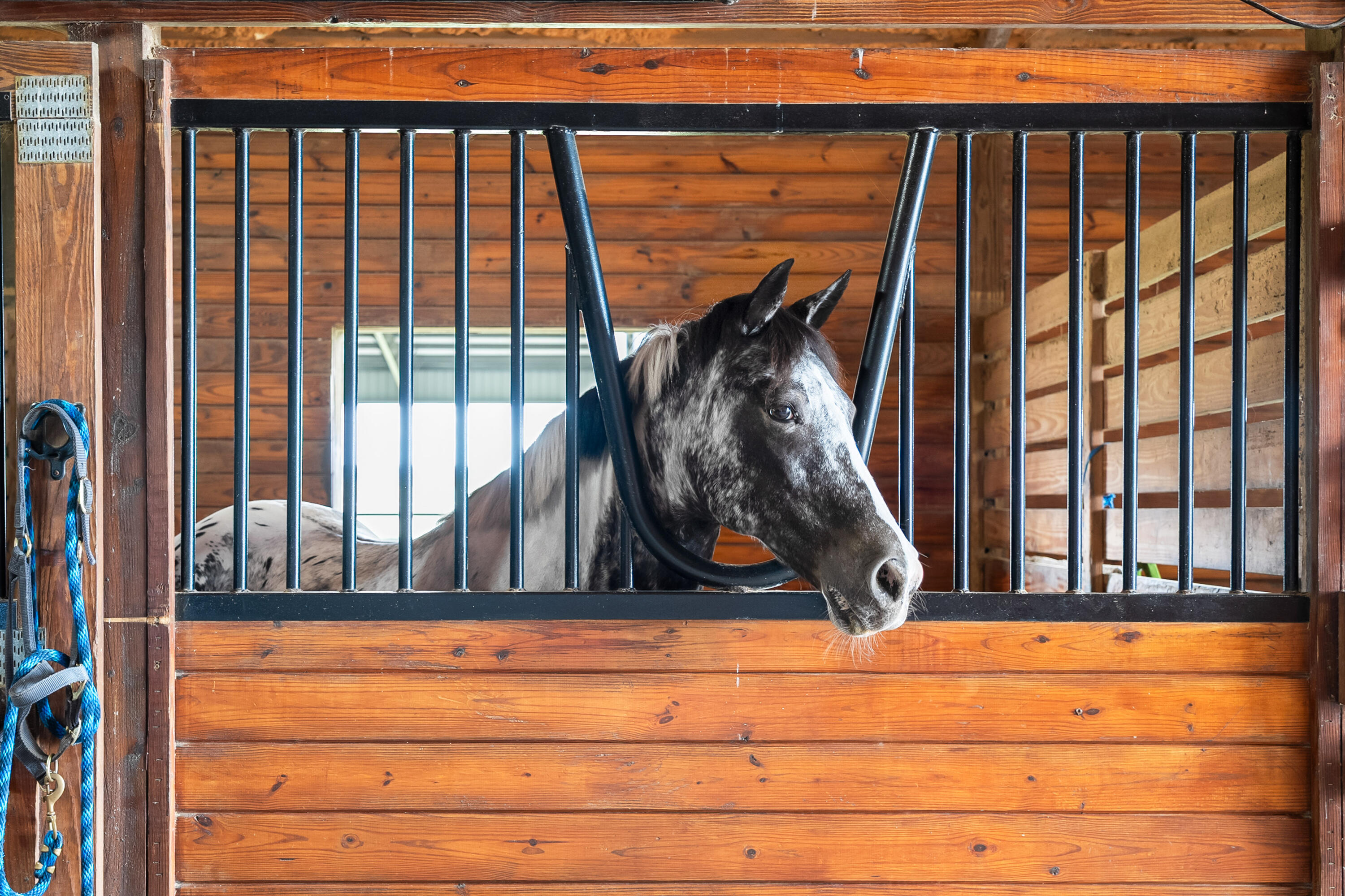 MLS #RX-11125251 image #17