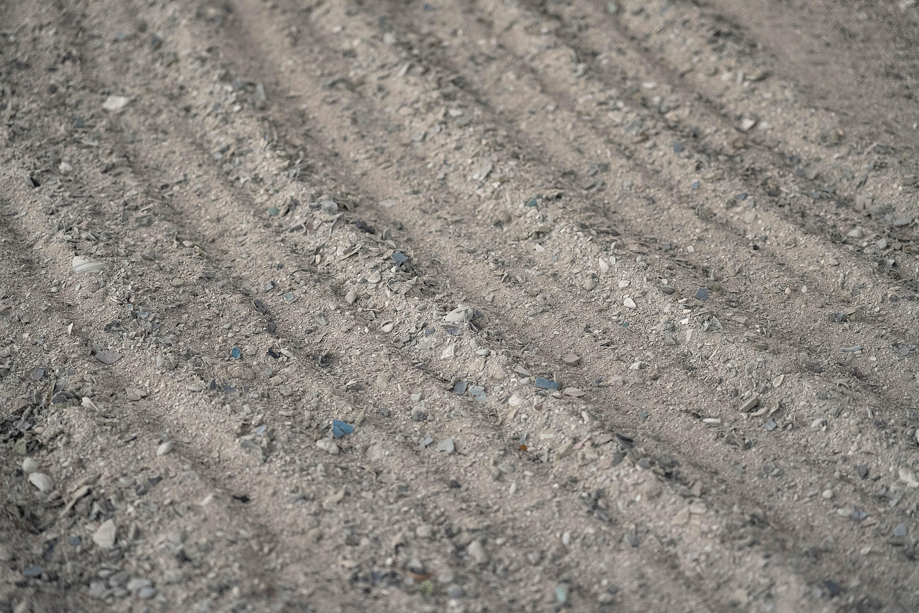 MLS #RX-11125251 image #25