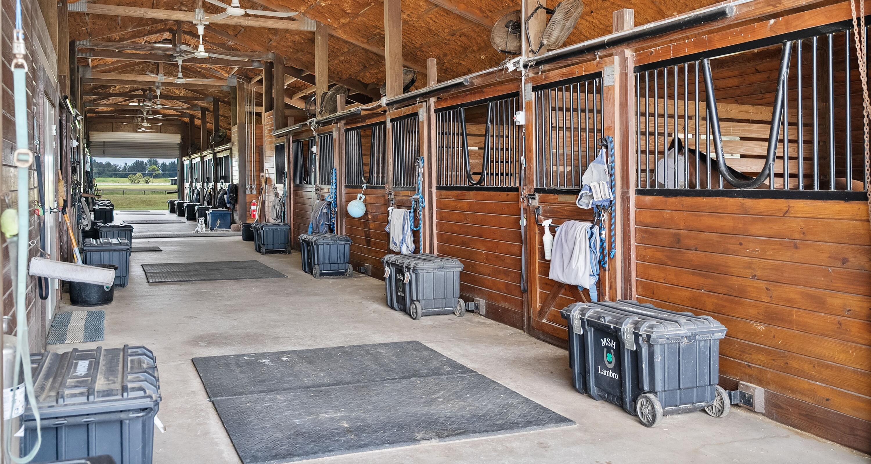 MLS #RX-11125251 image #7