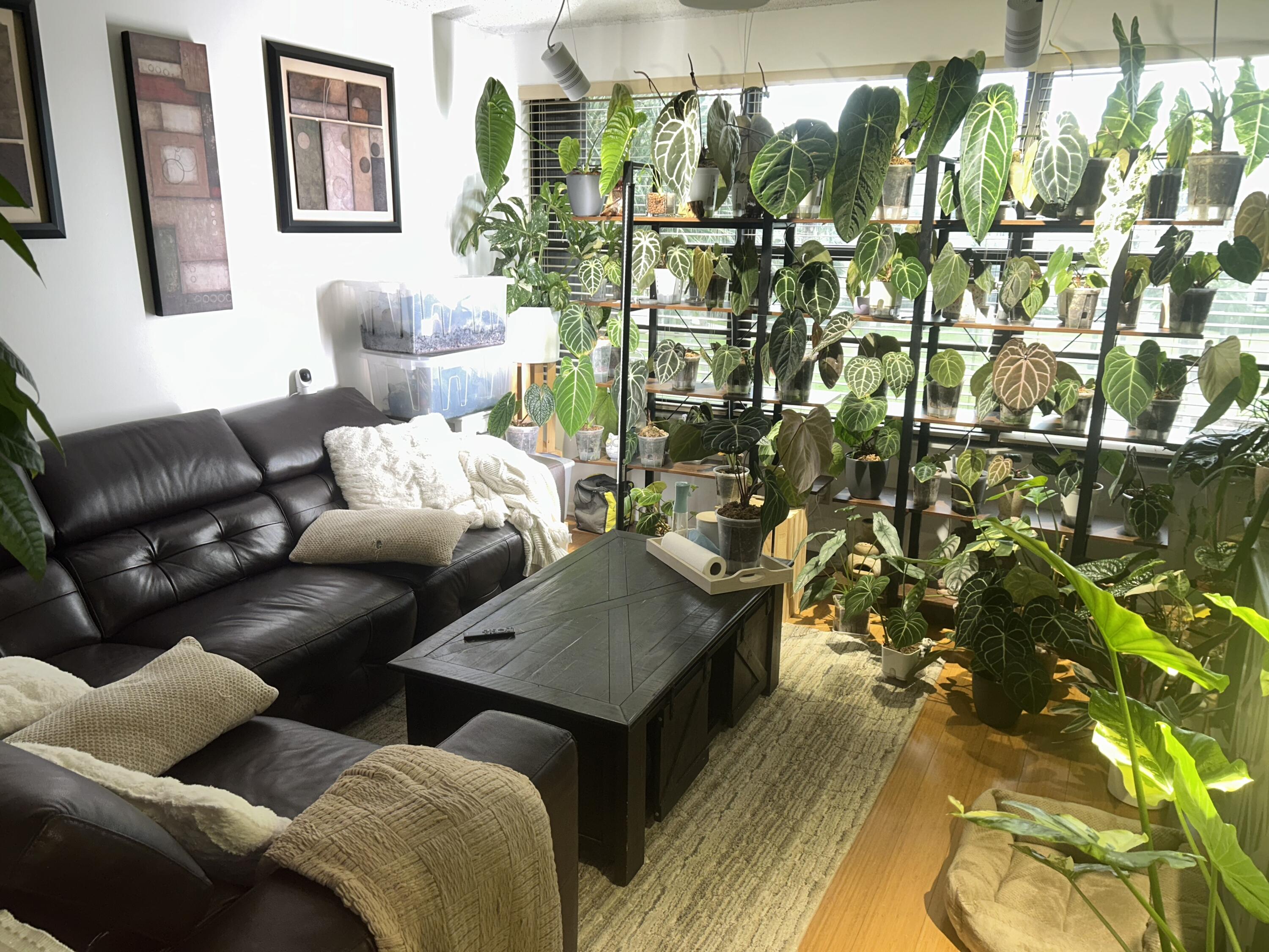 MLS #RX-11125574 image #1