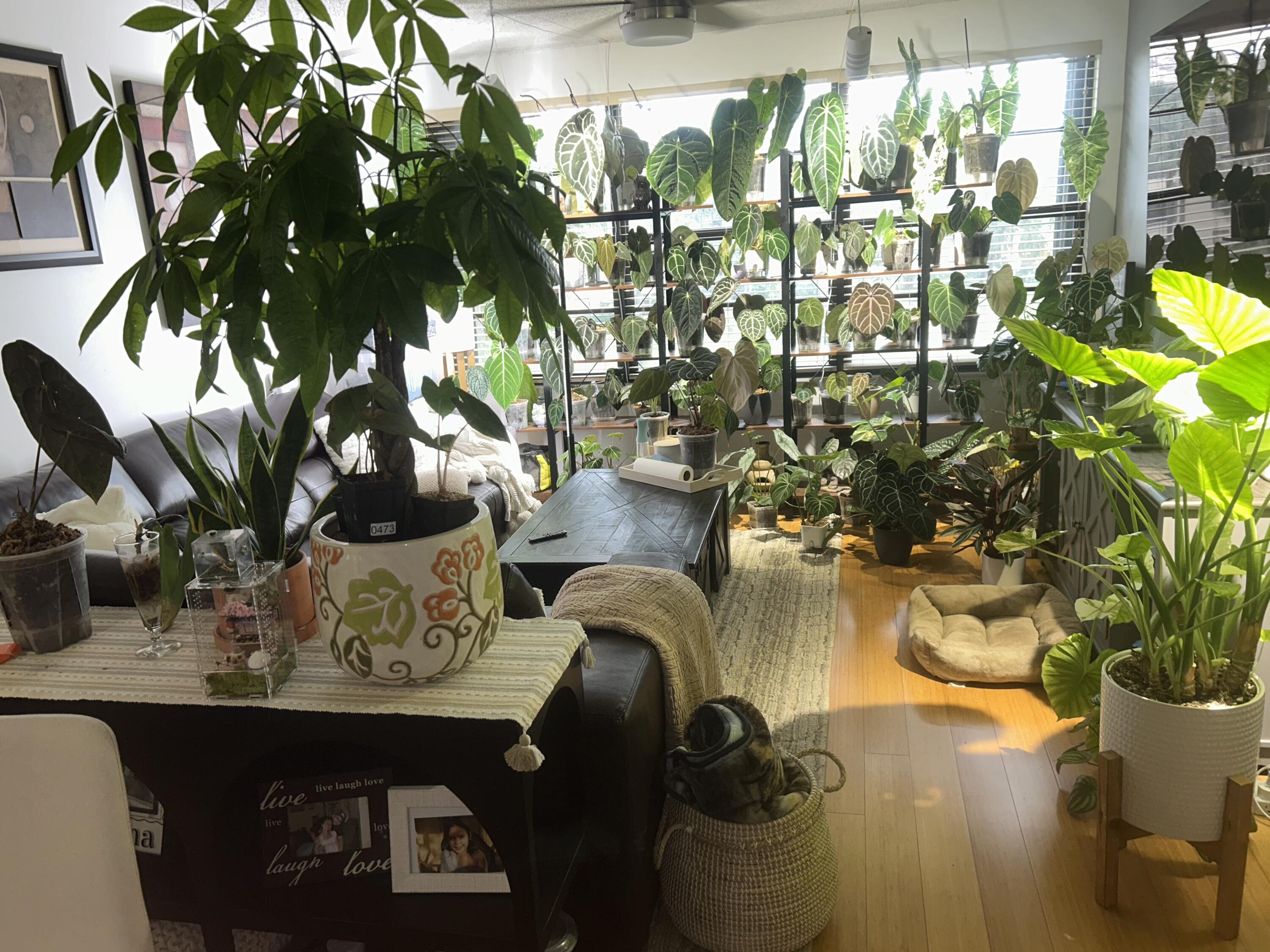 MLS #RX-11125574 image #2