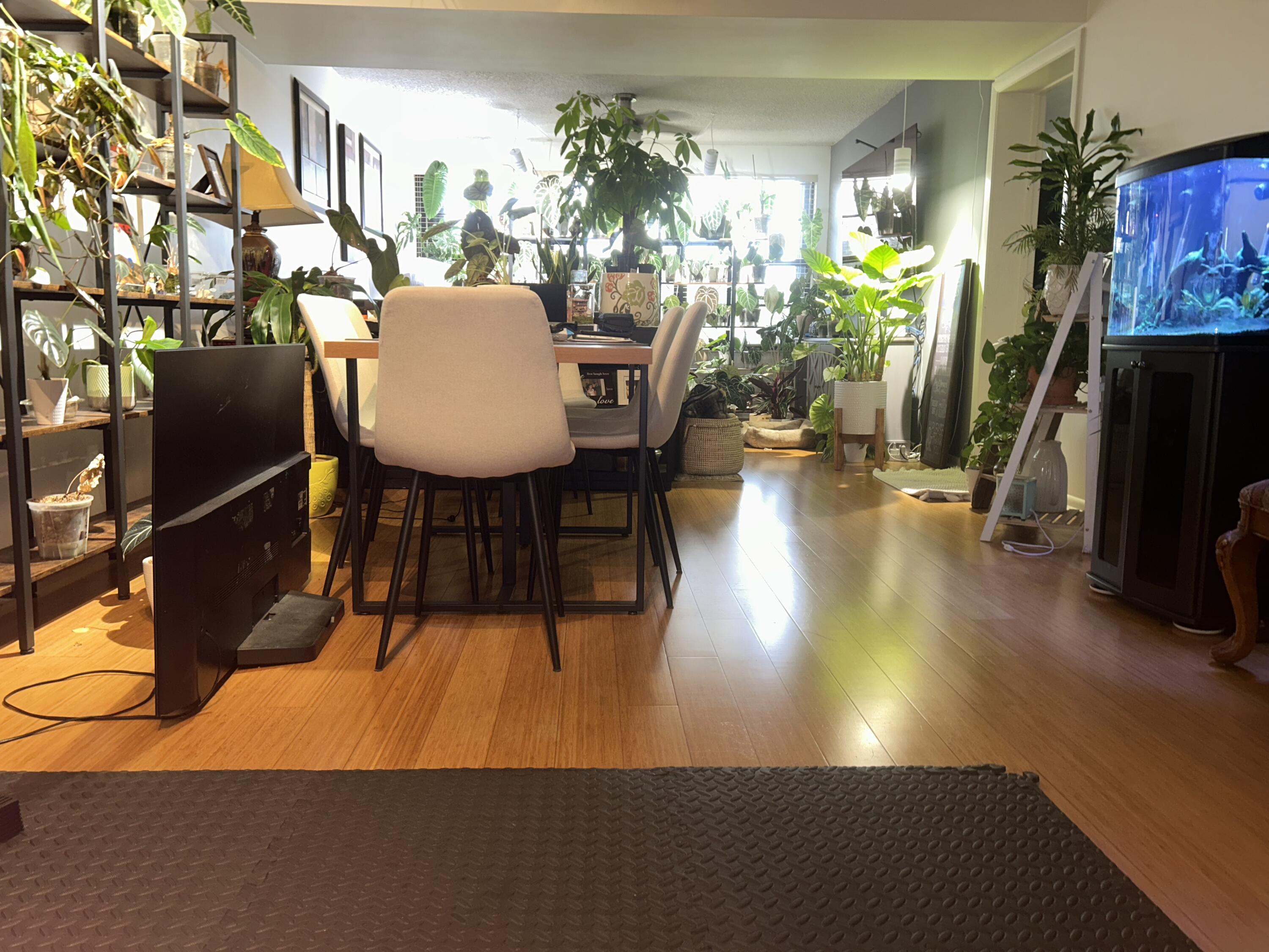 MLS #RX-11125574 image #4