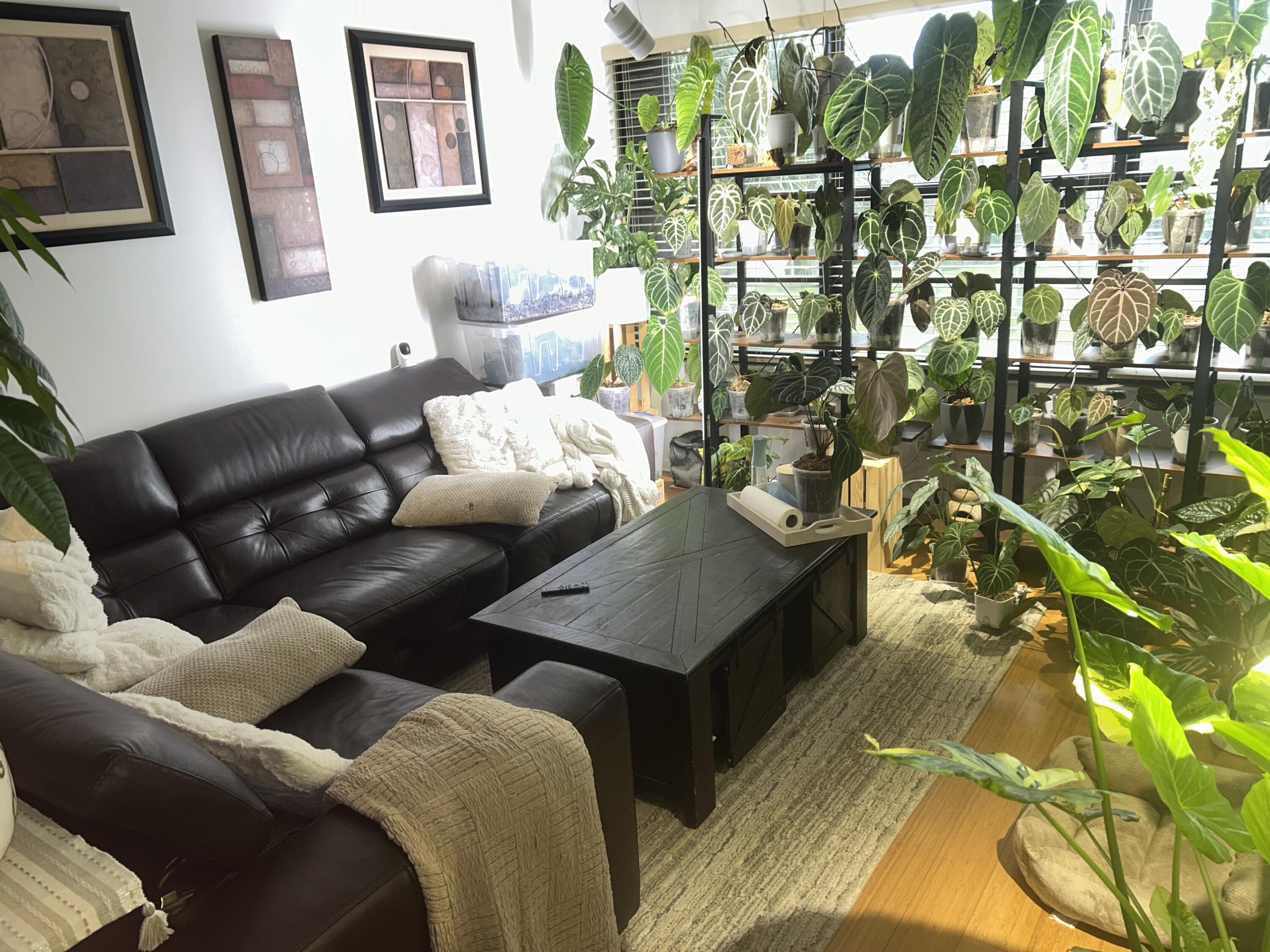 MLS #RX-11125574 image #6