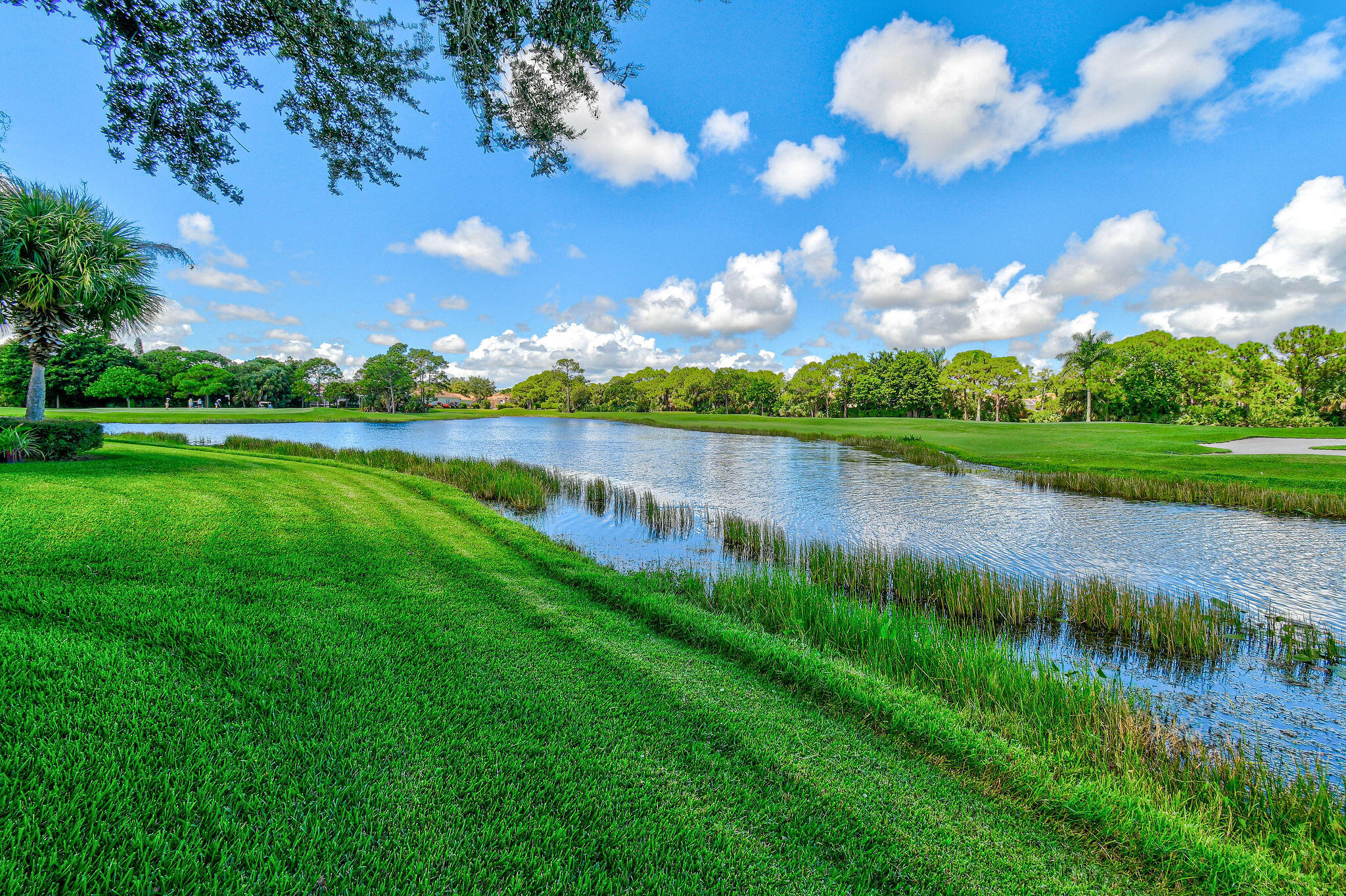 MLS #RX-11125744 image #37