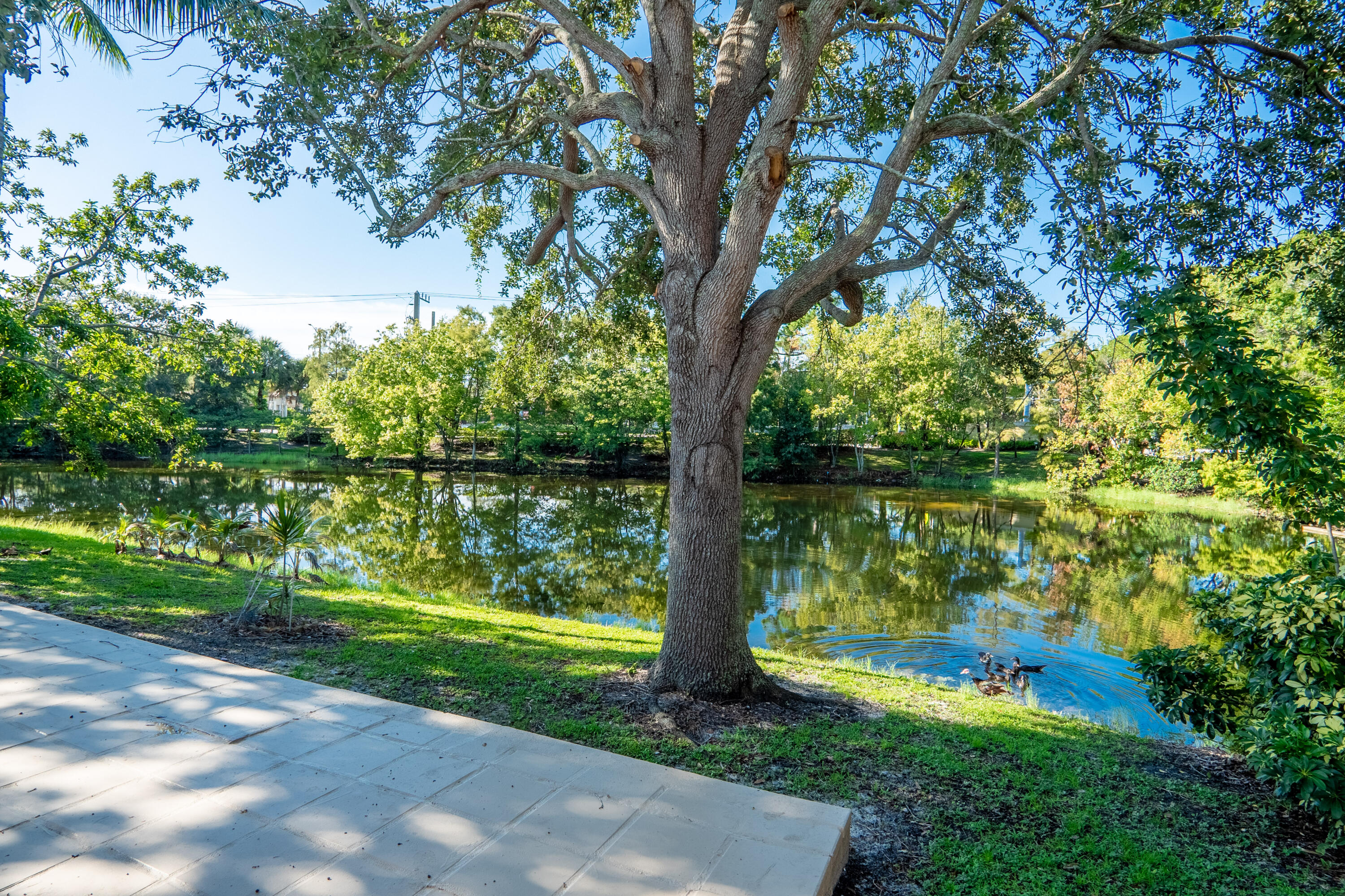 MLS #RX-11126227 image #23