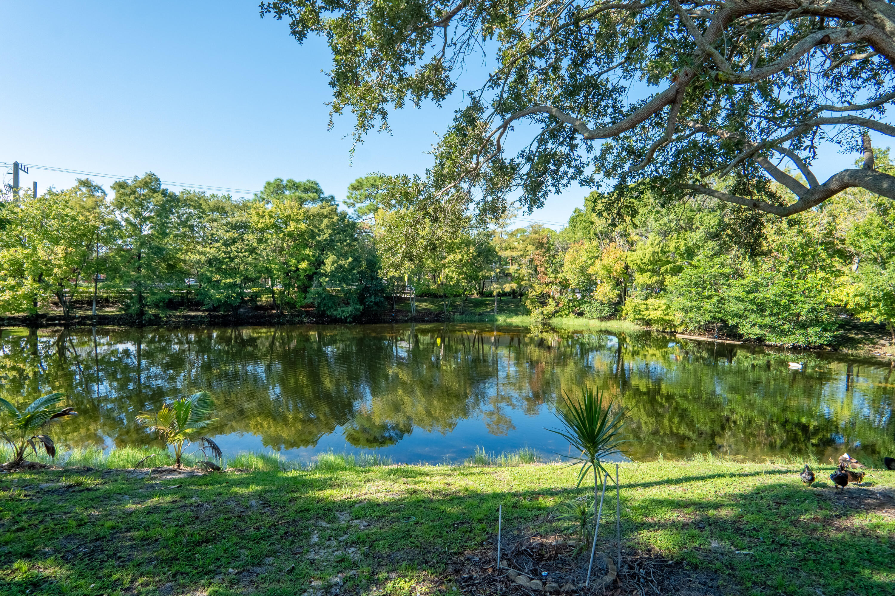 MLS #RX-11126227 image #33