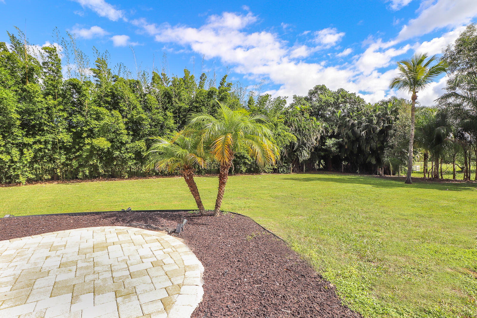 MLS #RX-11126856 image #31