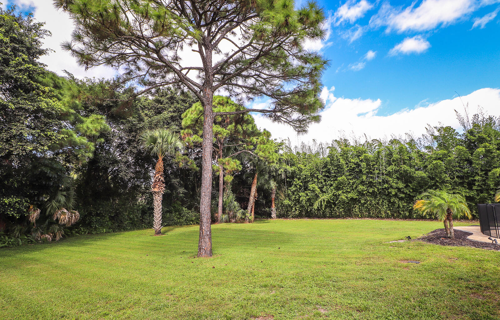 MLS #RX-11126856 image #35