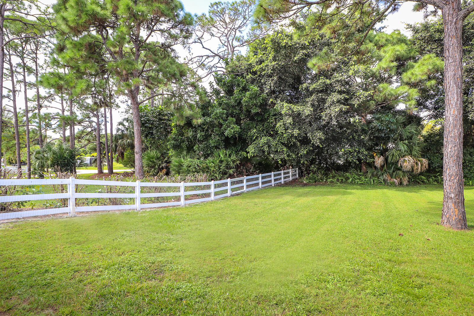 MLS #RX-11126856 image #42