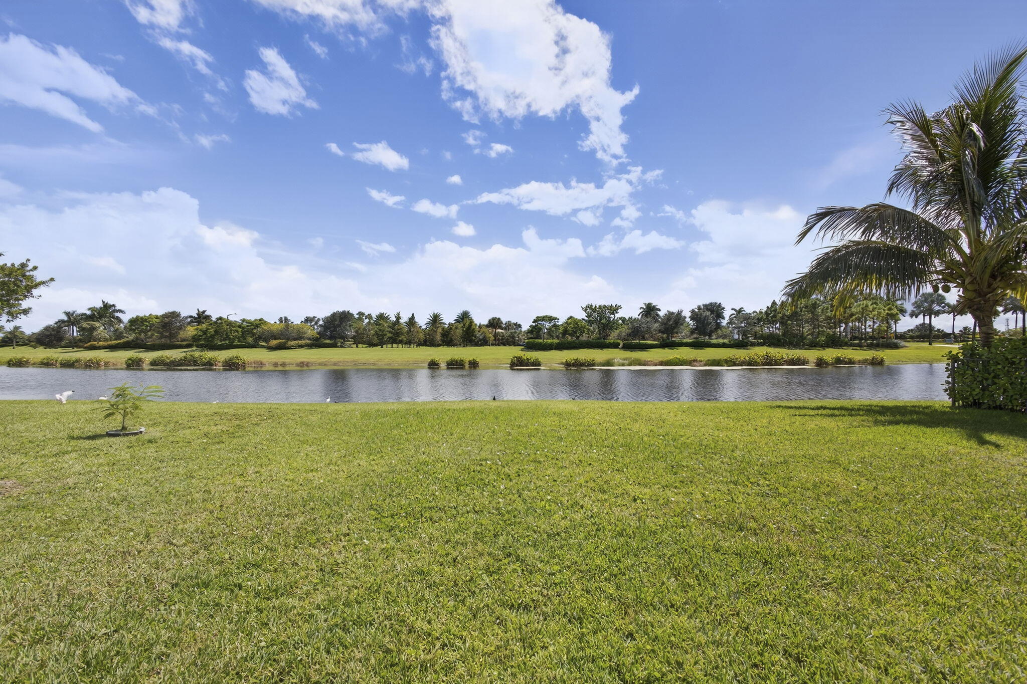 MLS #RX-11126915 image #31