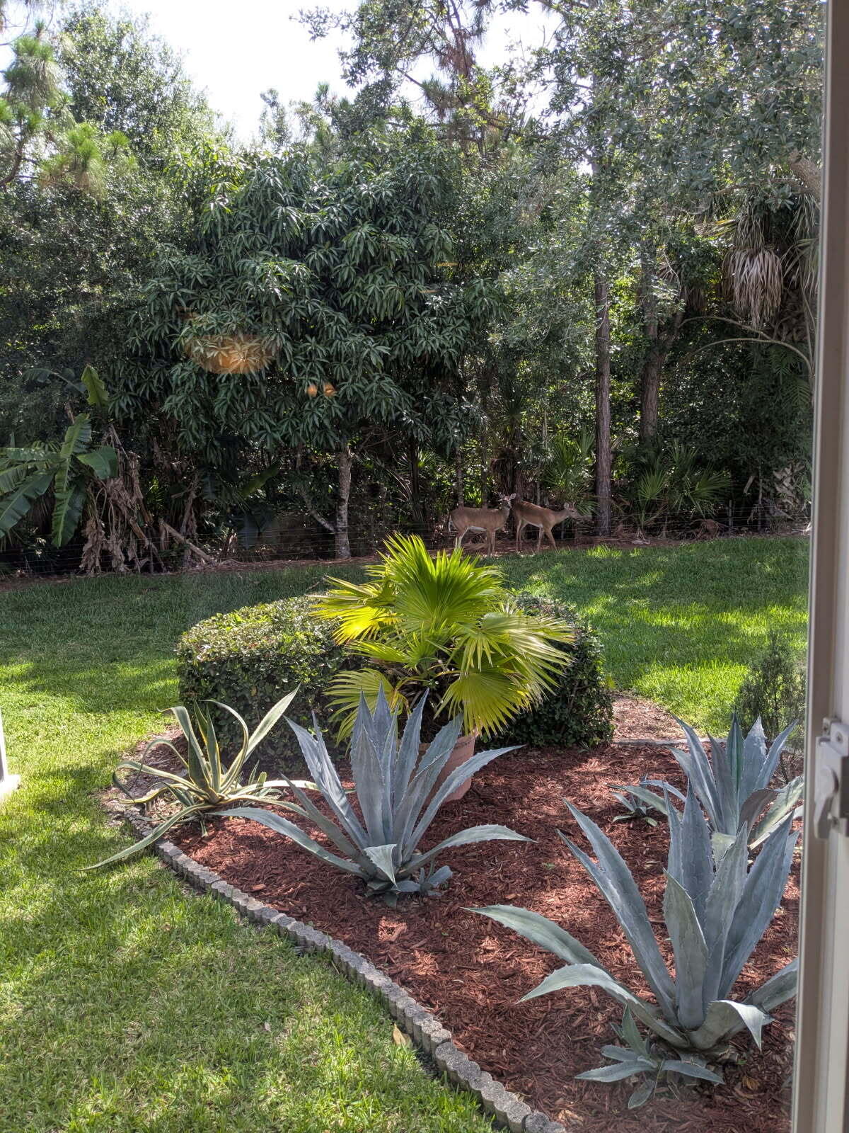 MLS #RX-11127126 image #15