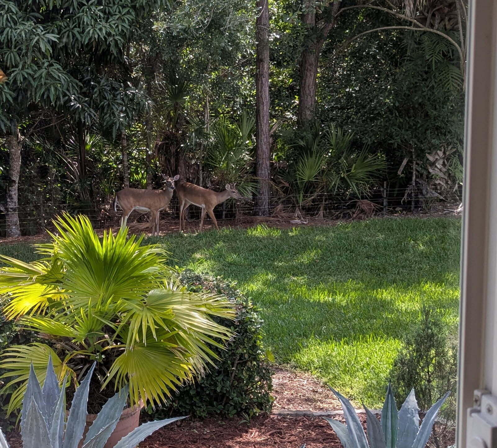 MLS #RX-11127126 image #35