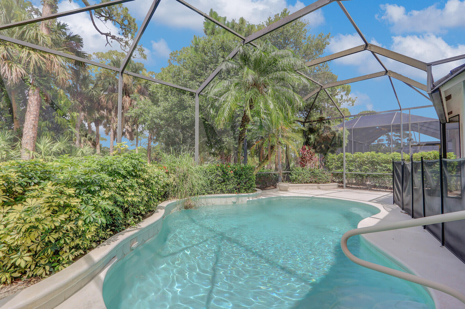 MLS #RX-10816464 image #36