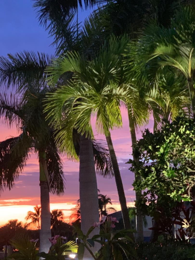 MLS #RX-11127284 image #27