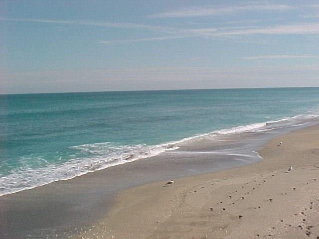 MLS #RX-11127371 image #46