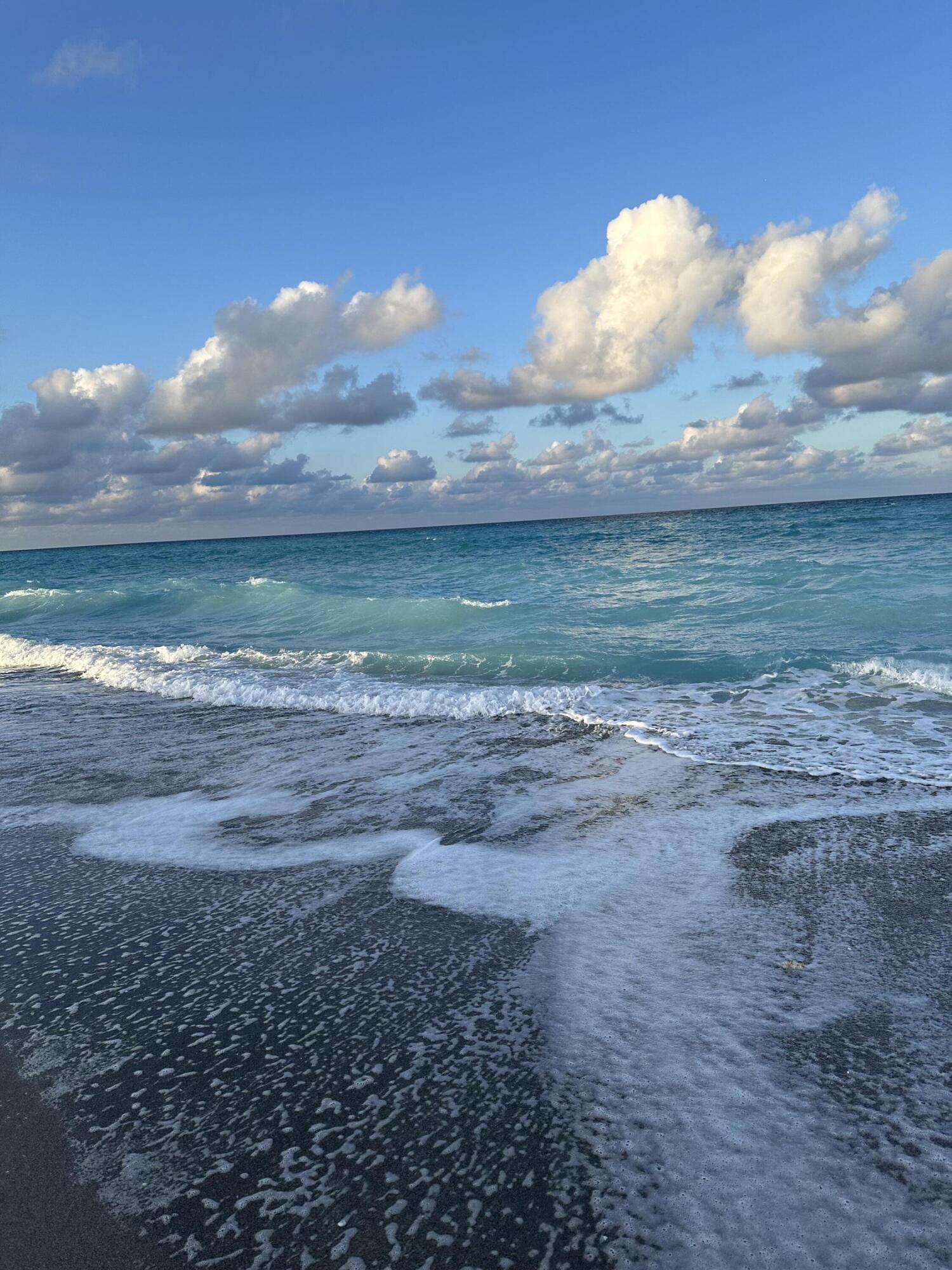 MLS #RX-11127493 image #37