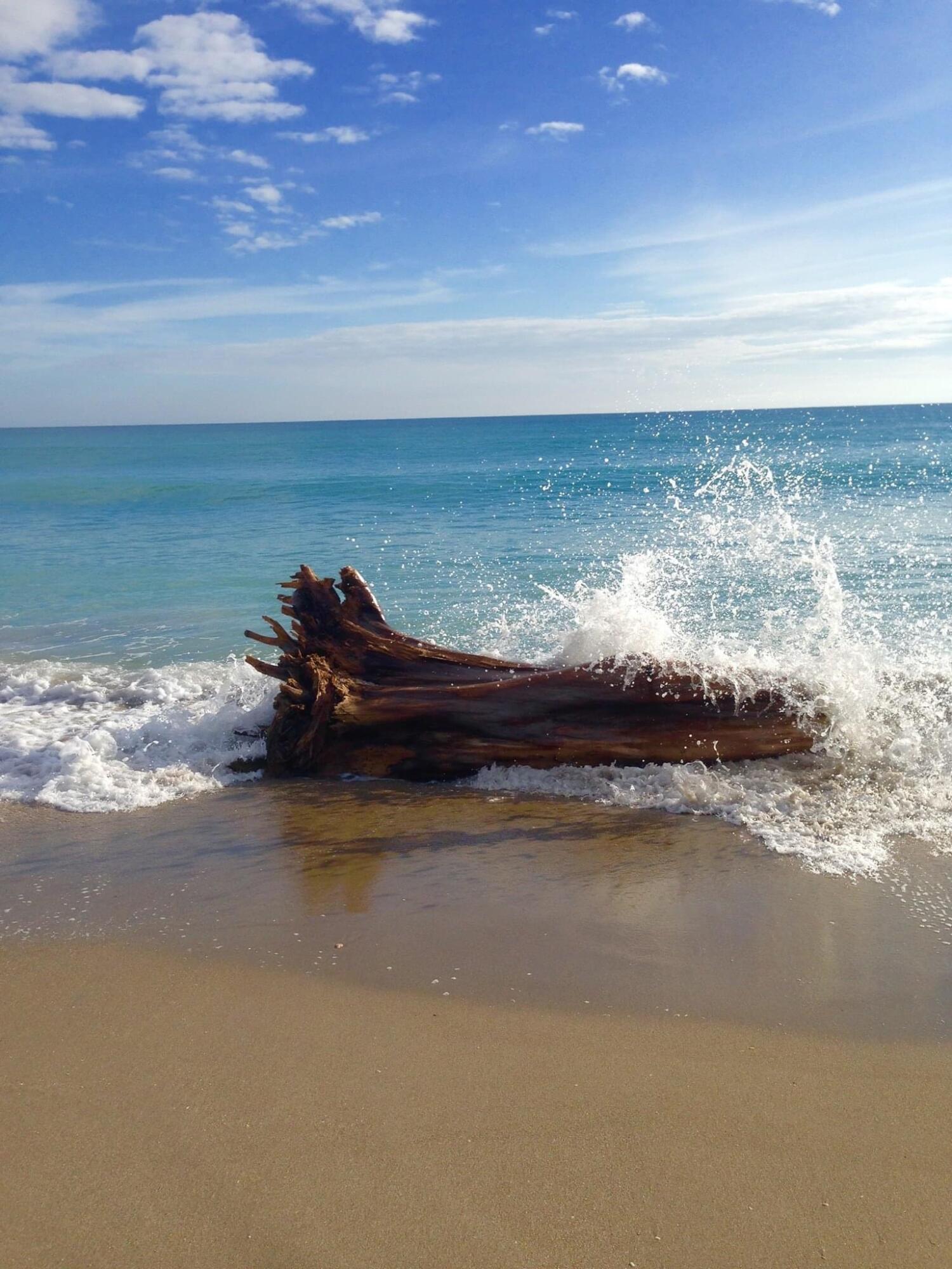 MLS #RX-11127493 image #38