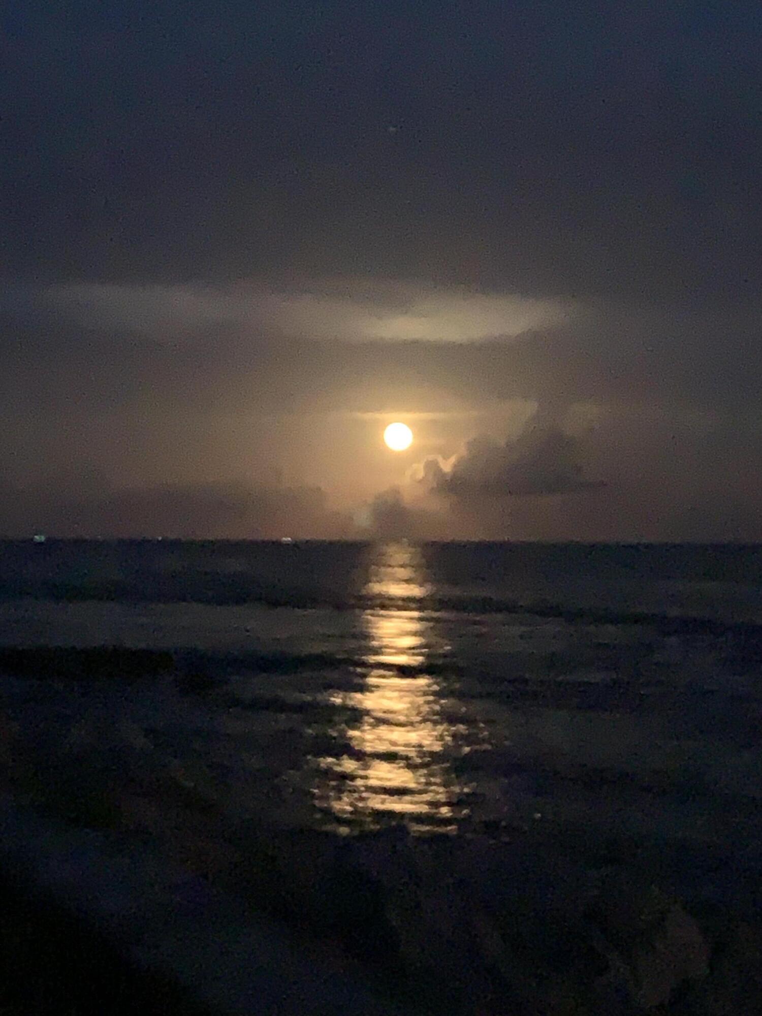 MLS #RX-11127493 image #39