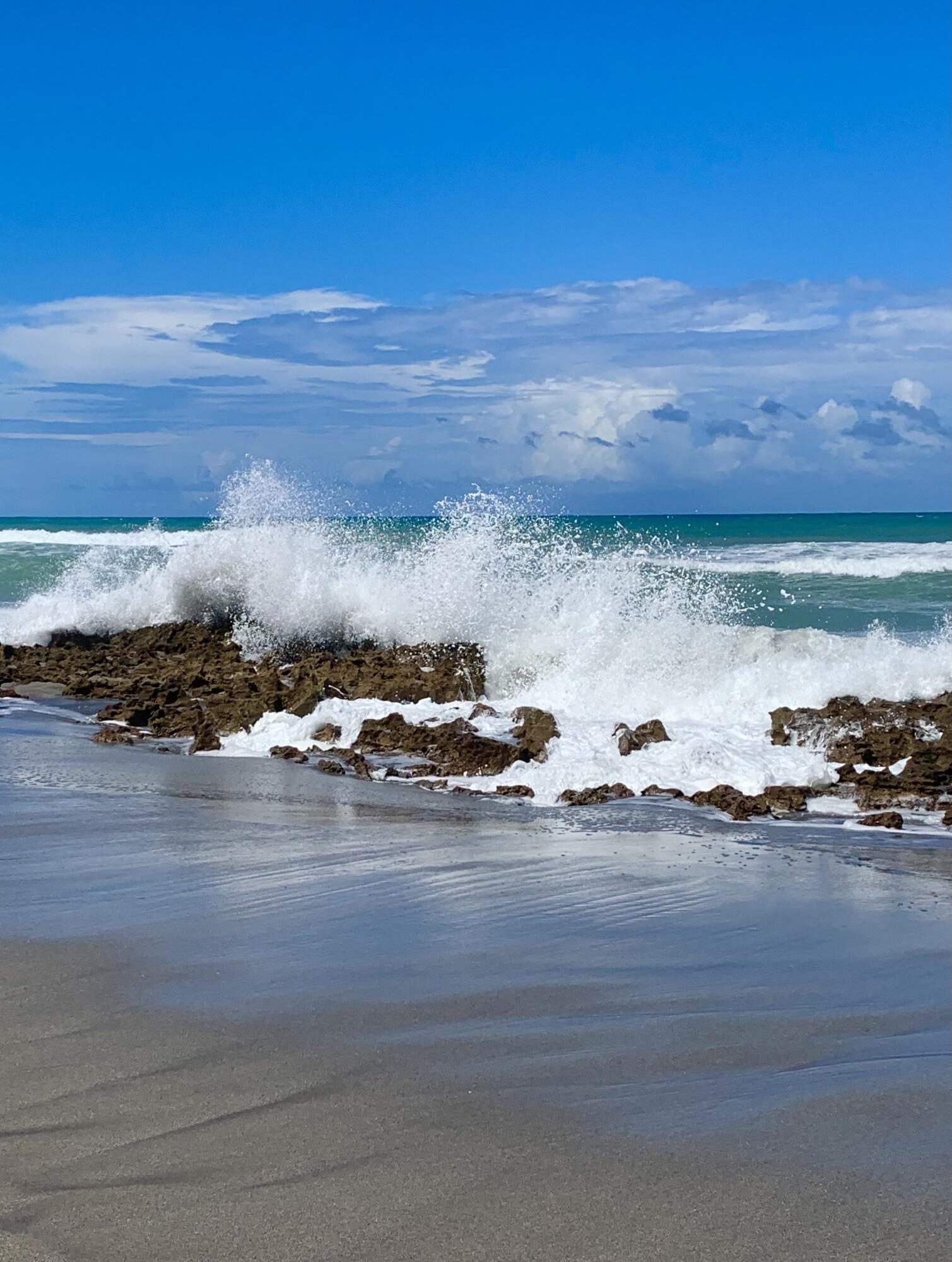 MLS #RX-11127493 image #40