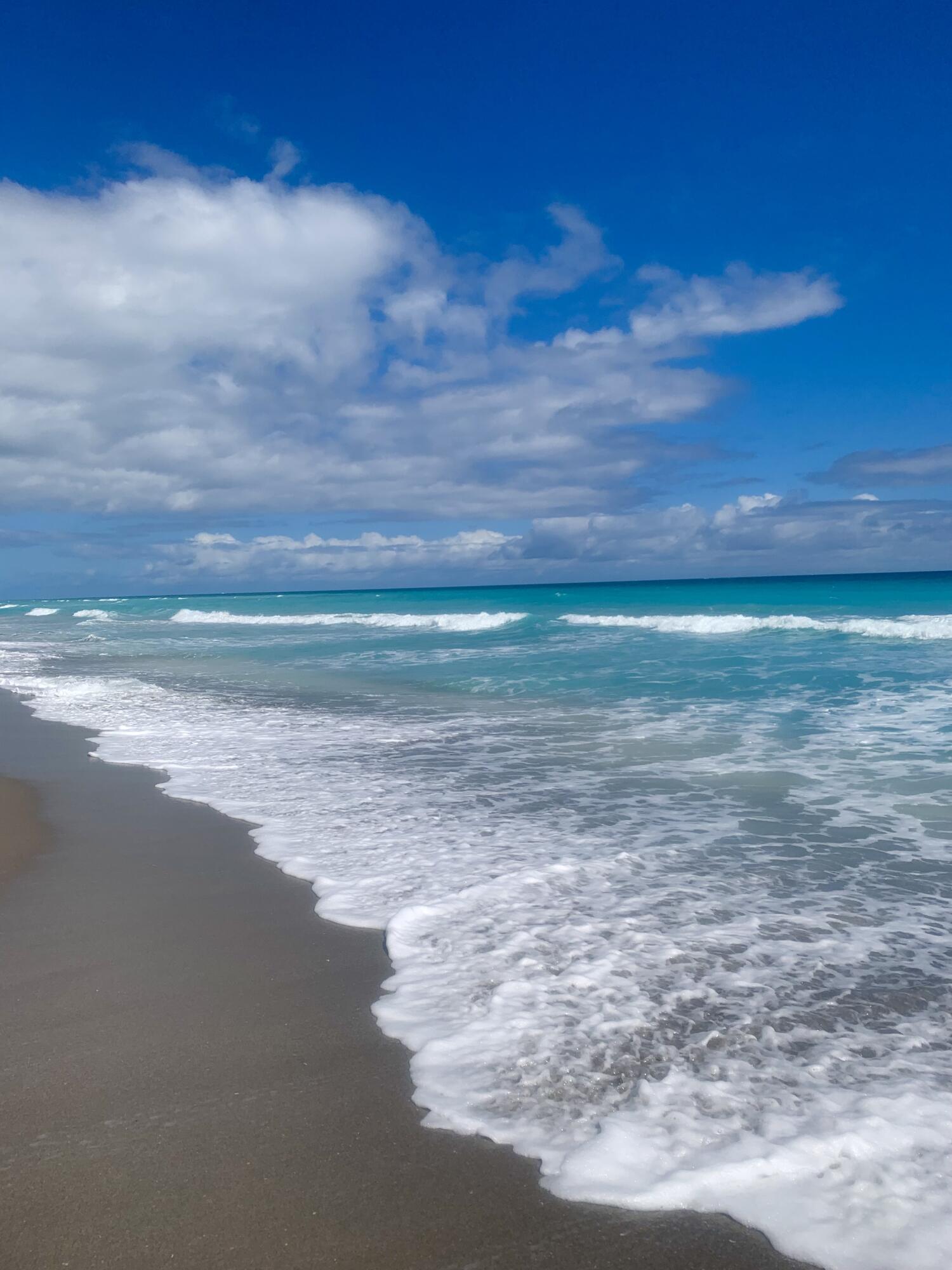 MLS #RX-11127493 image #41