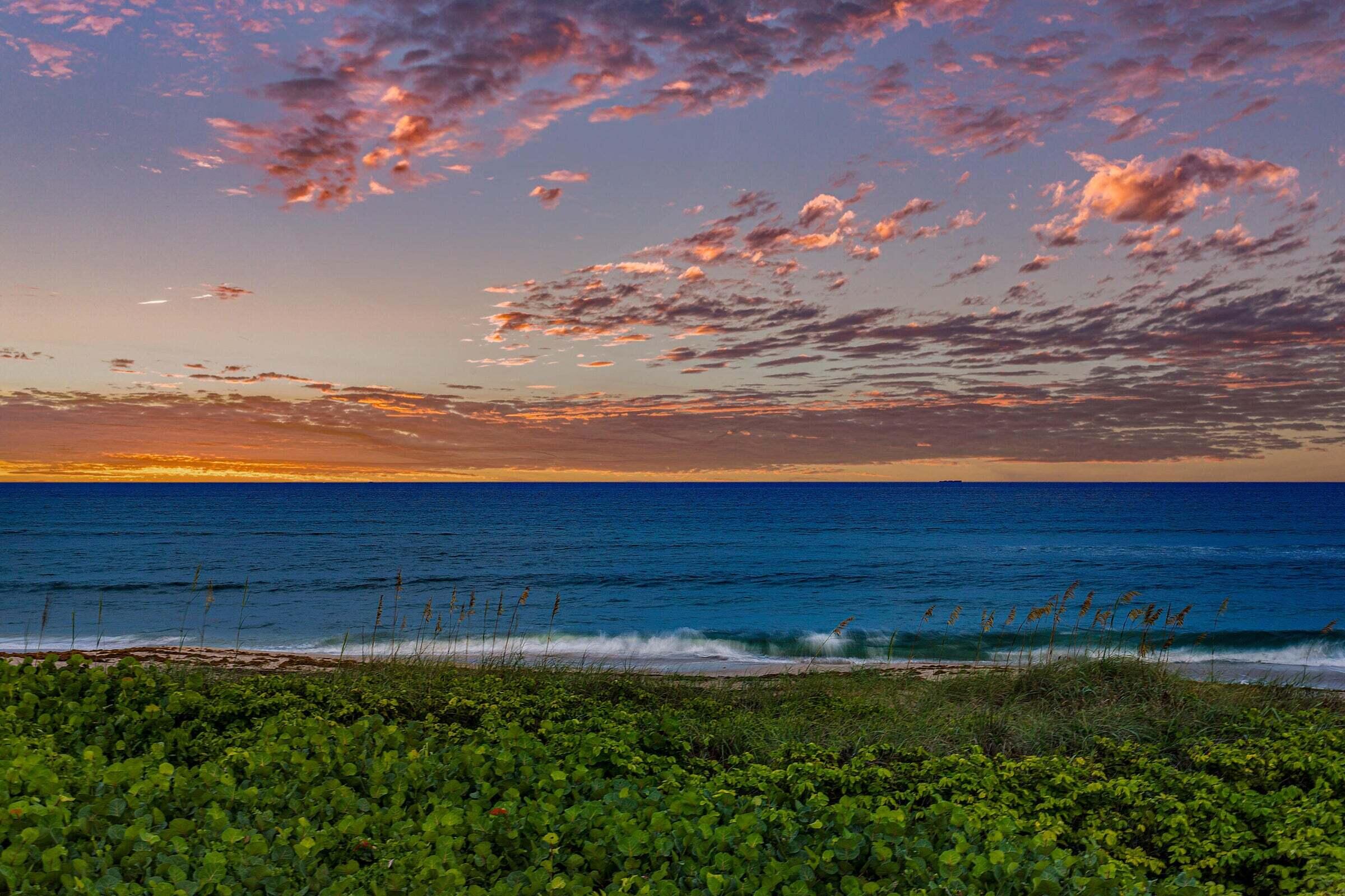 MLS #RX-11127548 image #39