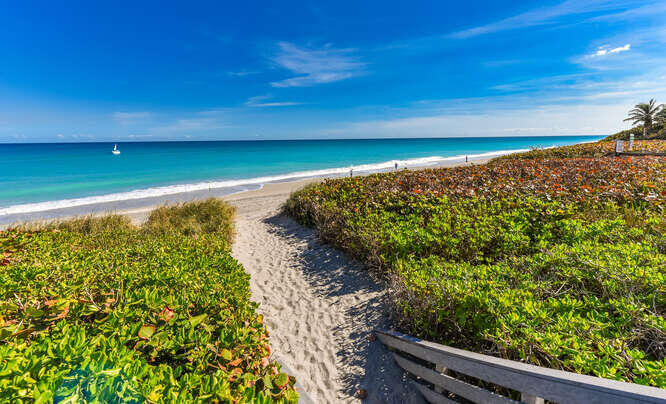 MLS #RX-11127569 image #25