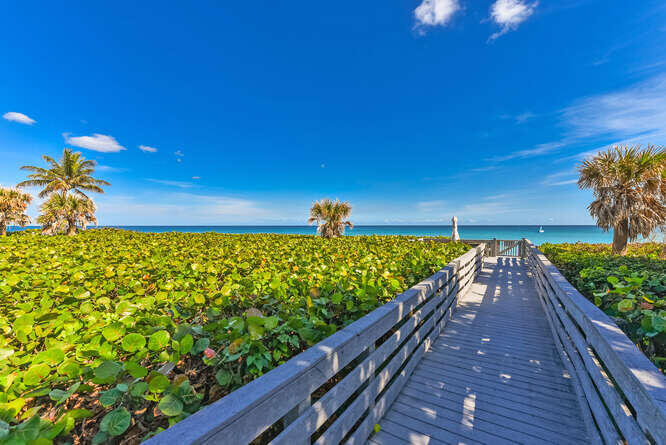 MLS #RX-11127569 image #31