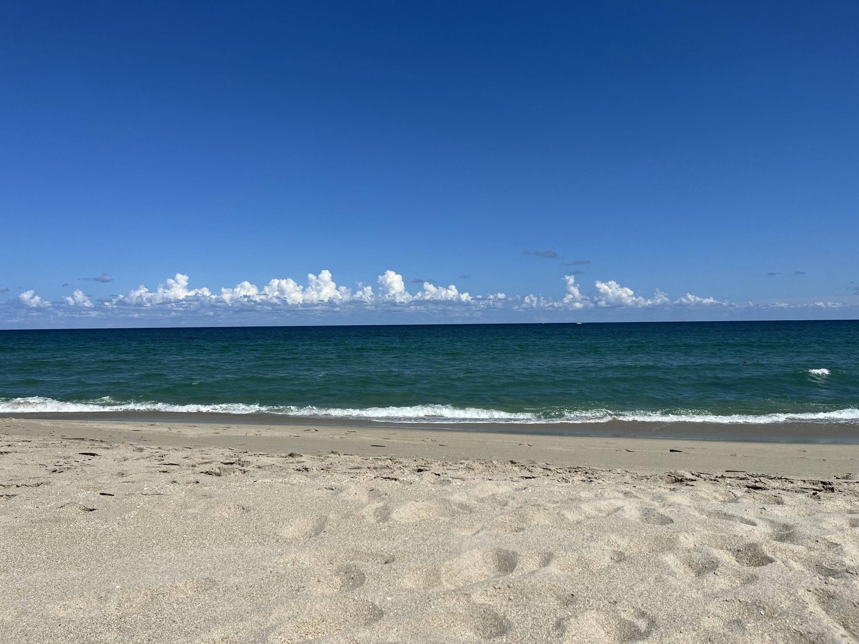 MLS #RX-10790583 image #31