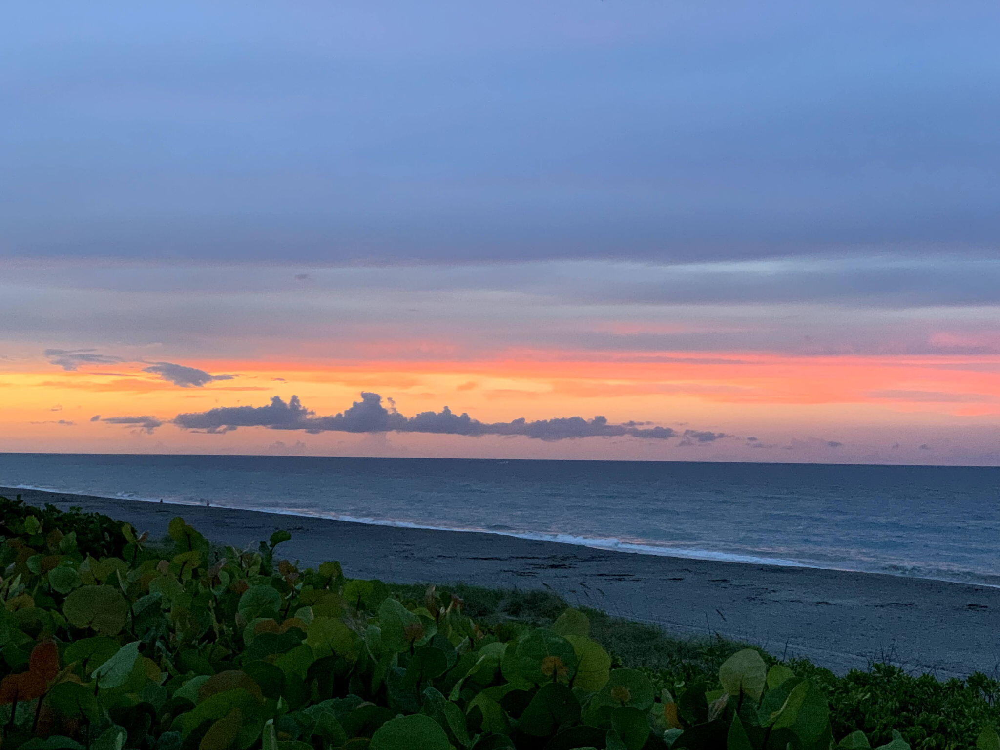 MLS #RX-11127894 image #35