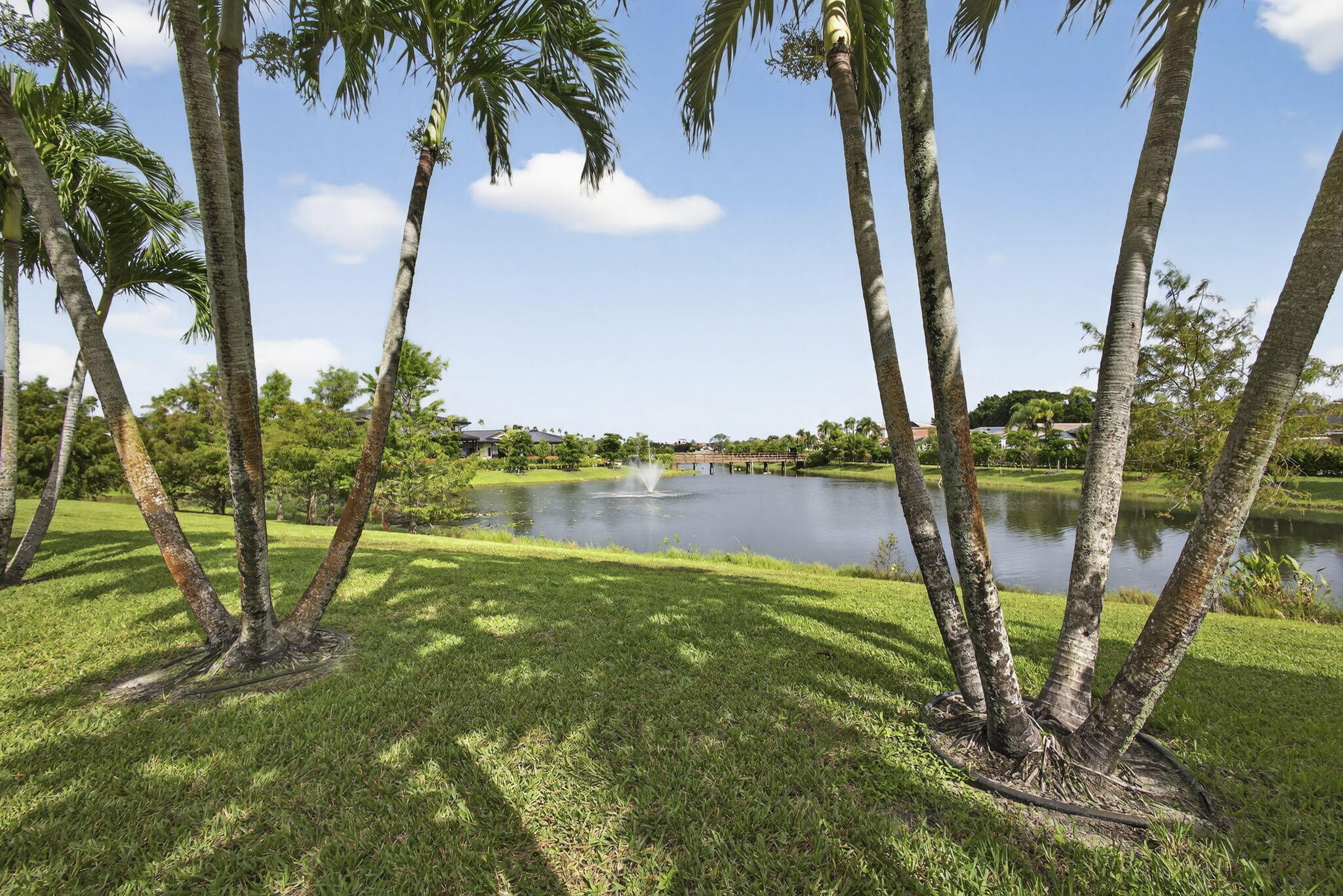 MLS #RX-11128395 image #0