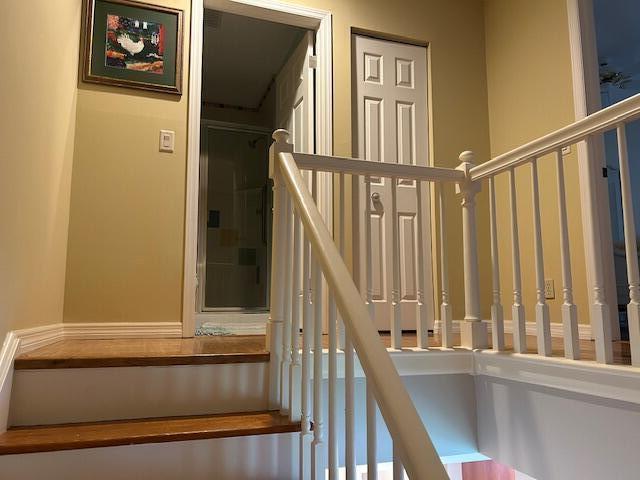 MLS #RX-11128467 image #12