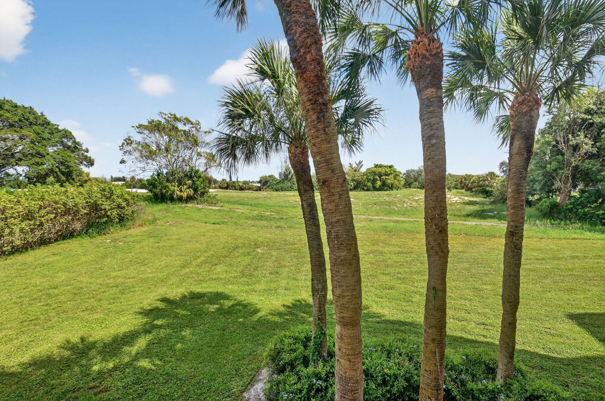 MLS #RX-11126916 image #33