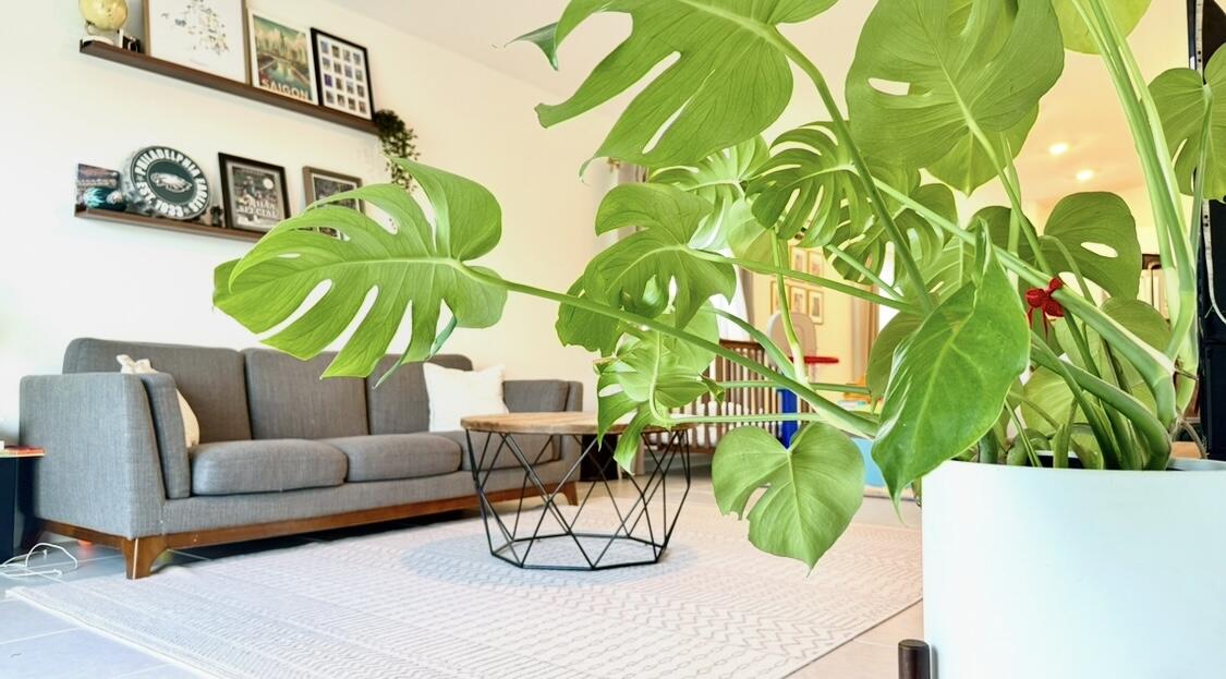 MLS #RX-11128708 image #16