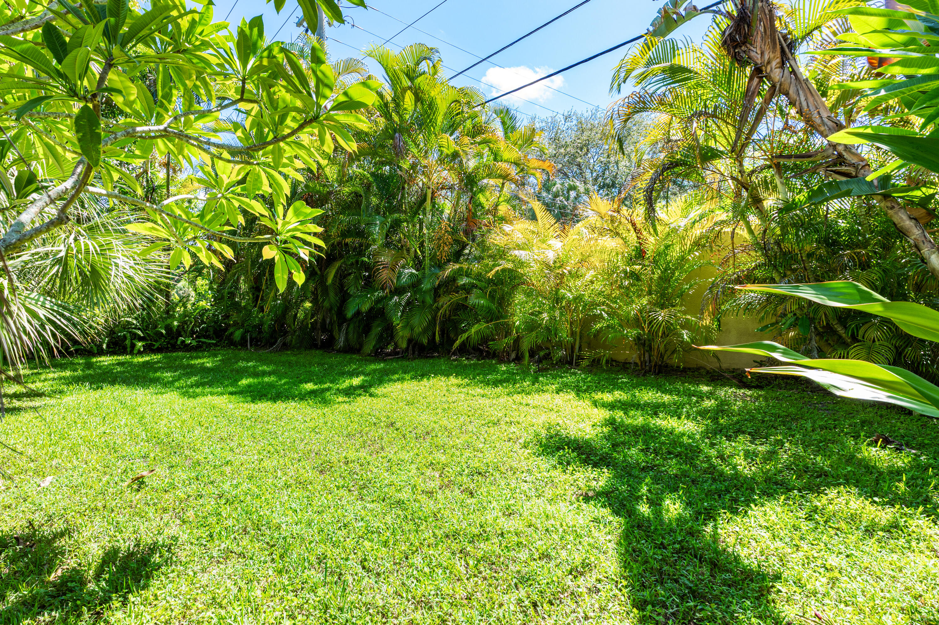 MLS #RX-11128801 image #2