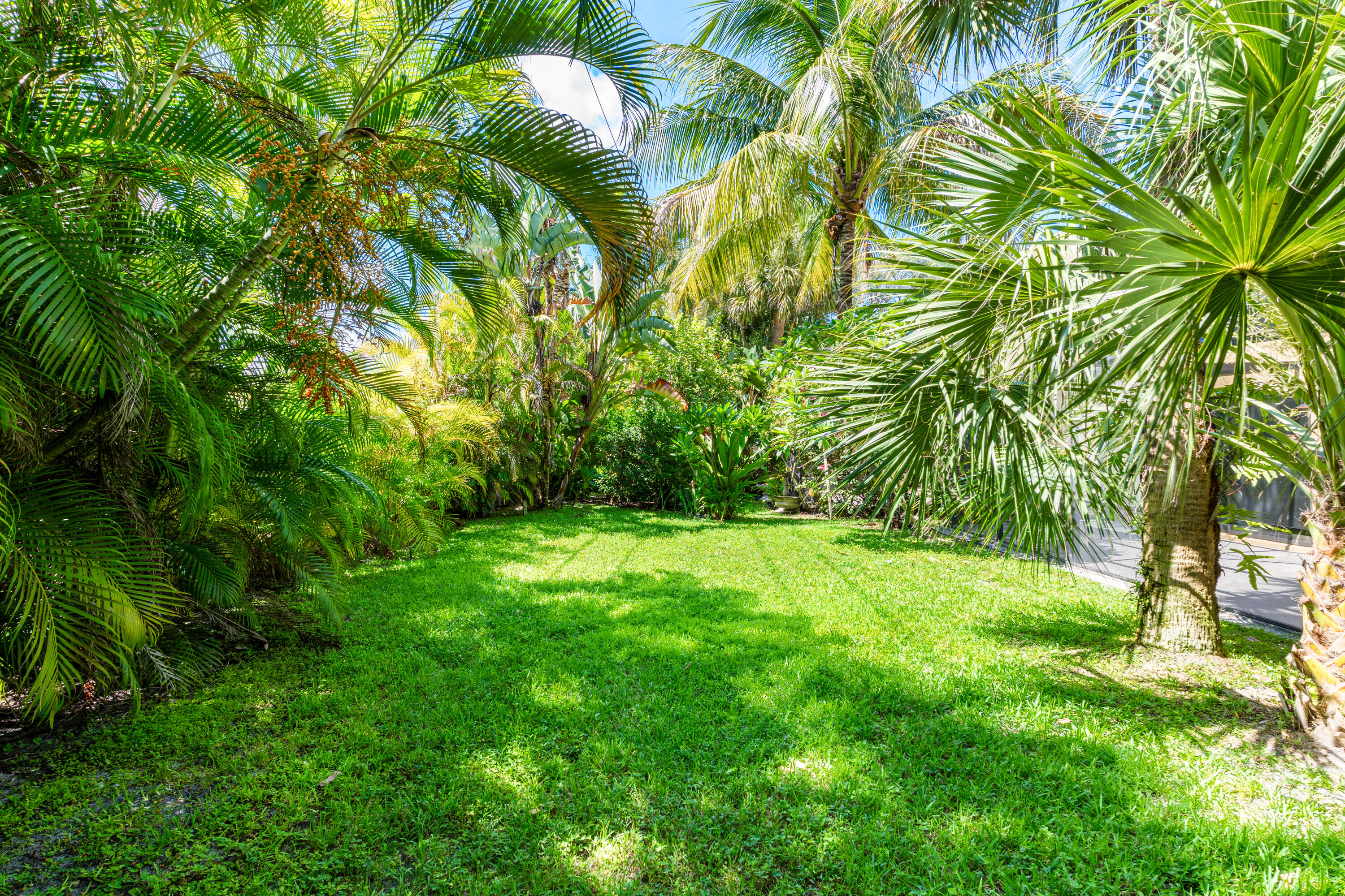 MLS #RX-11128801 image #4