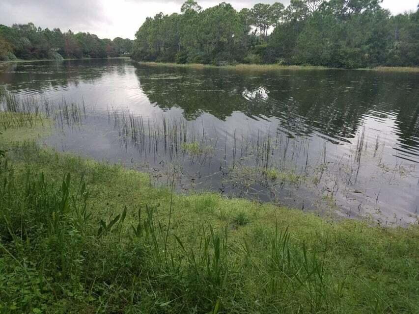 MLS #RX-11128840 image #49