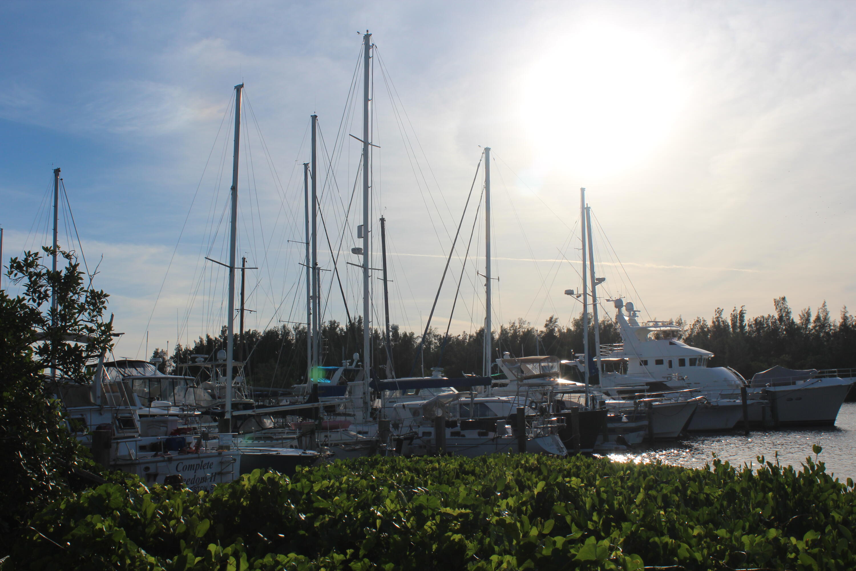 MLS #RX-11128877 image #37