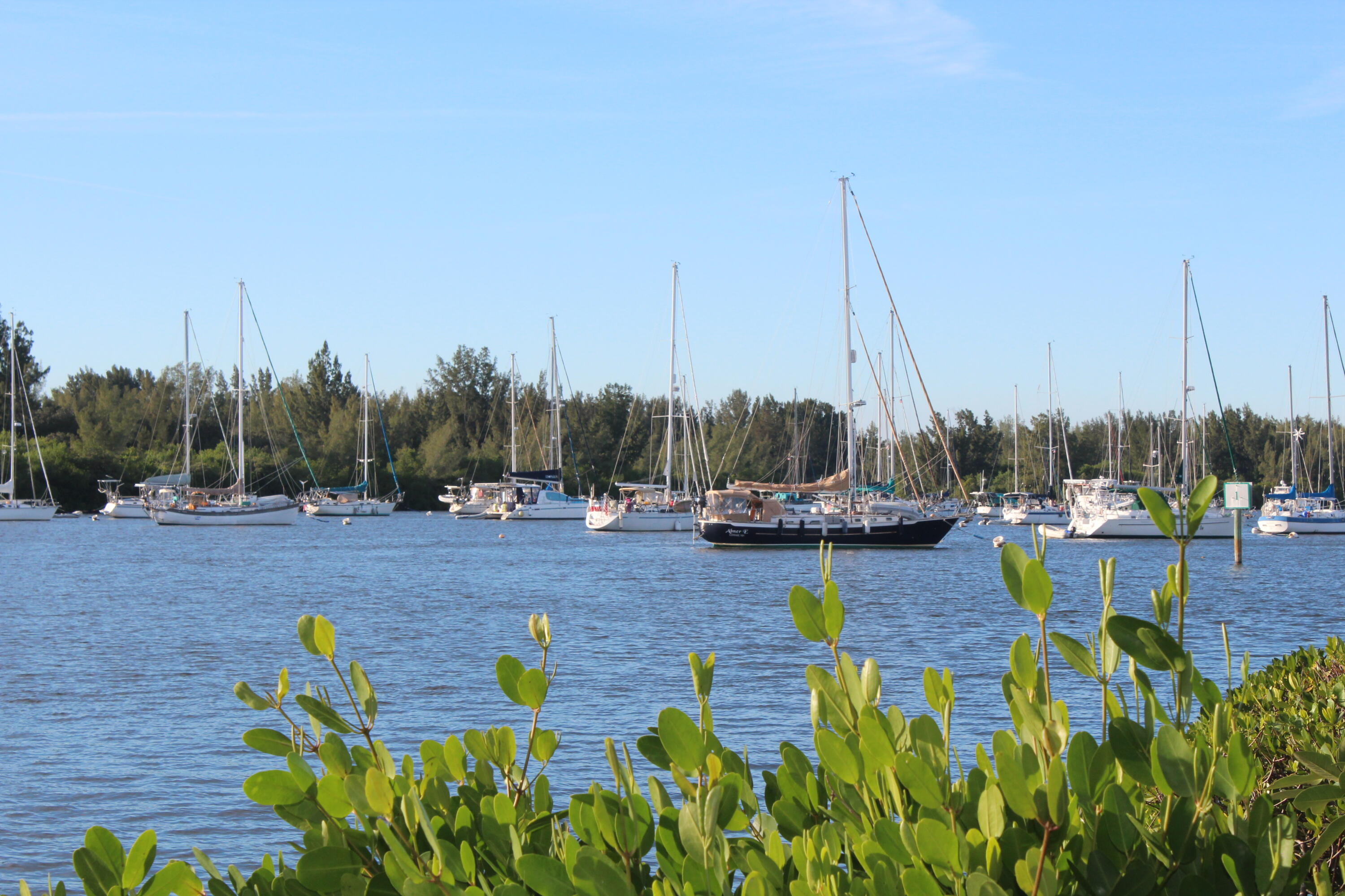 MLS #RX-11128877 image #39