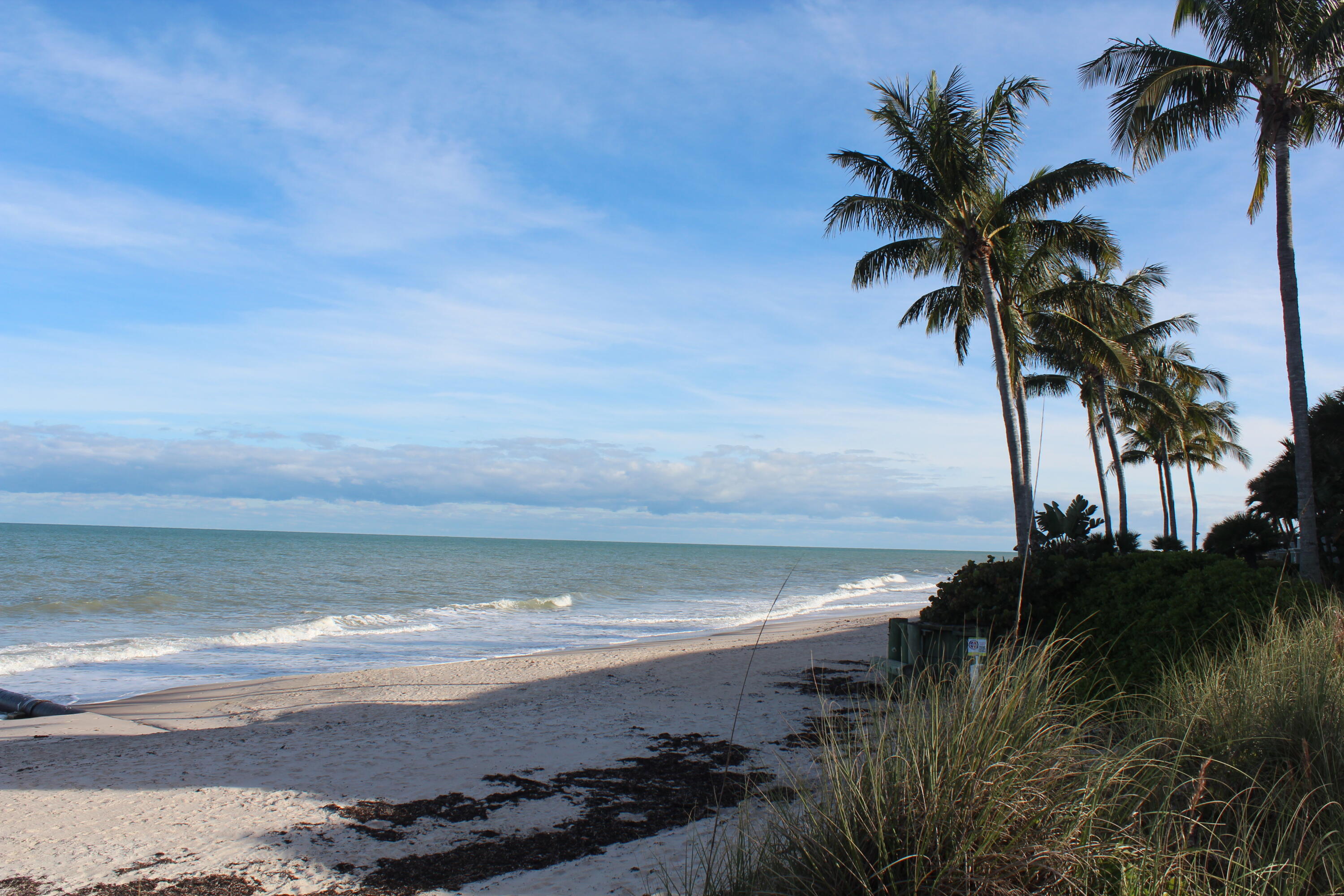 MLS #RX-11128877 image #42