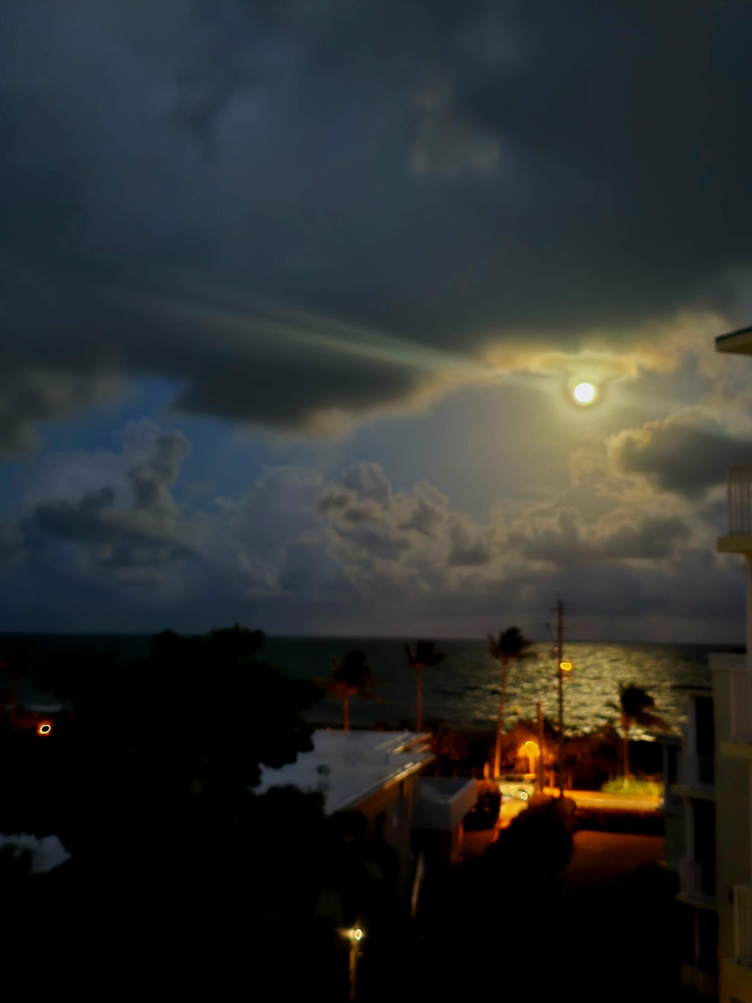 MLS #RX-10602659 image #41