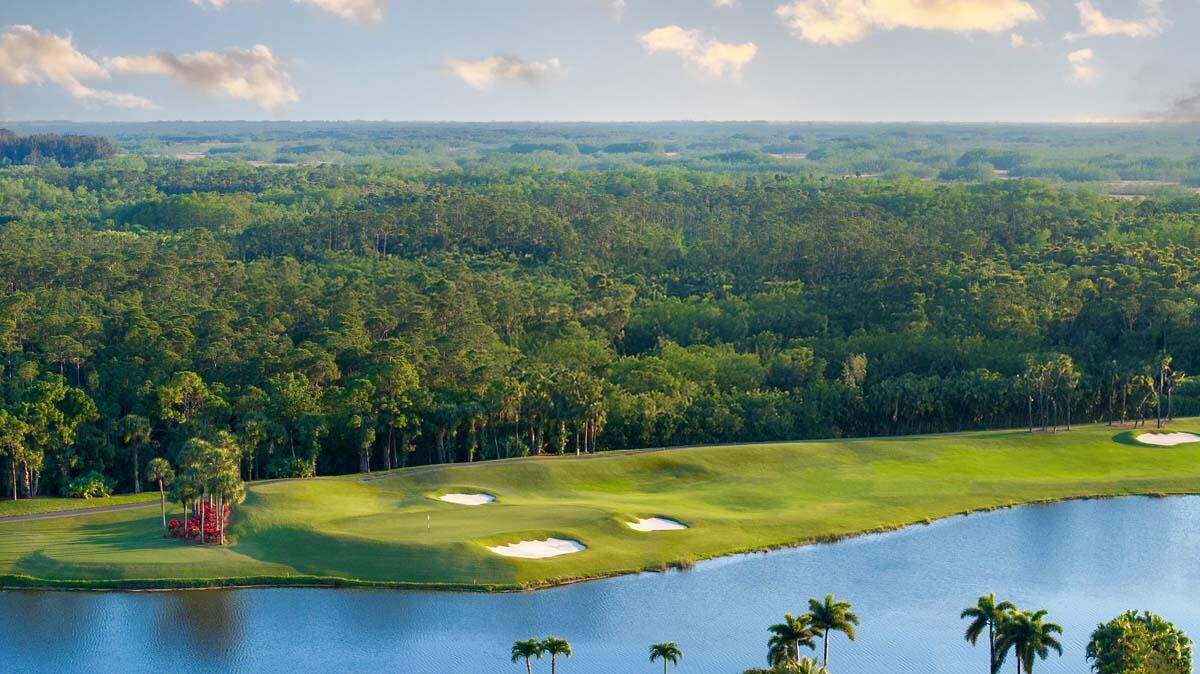 MLS #RX-11129111 image #75