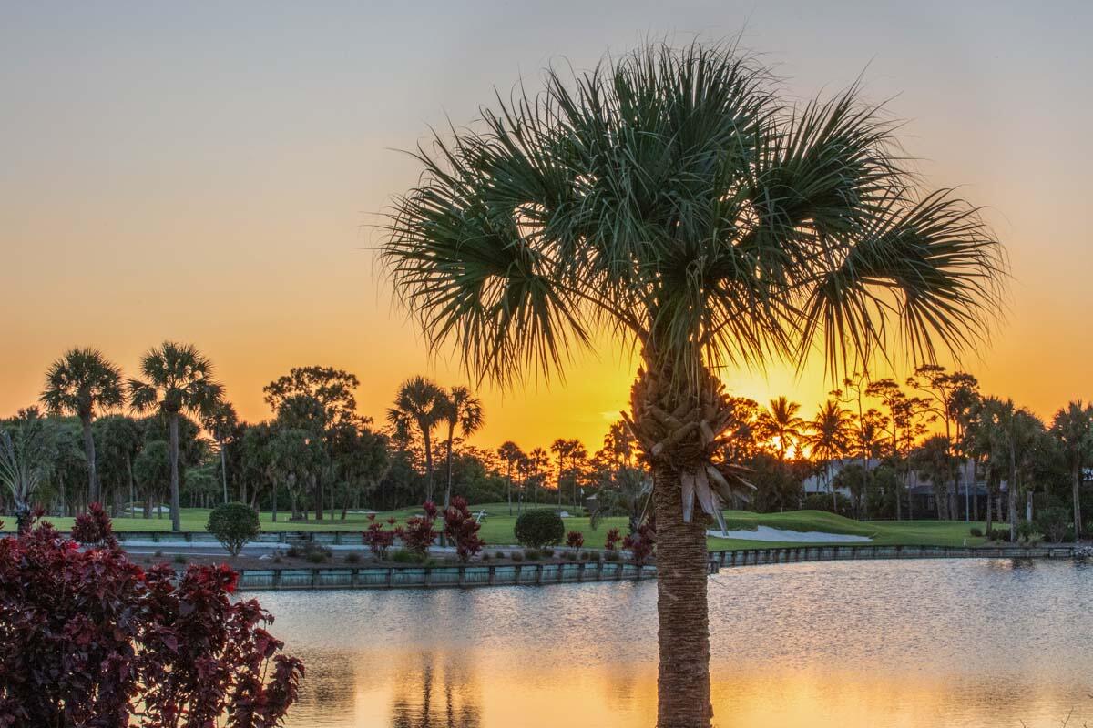 MLS #RX-11129111 image #87