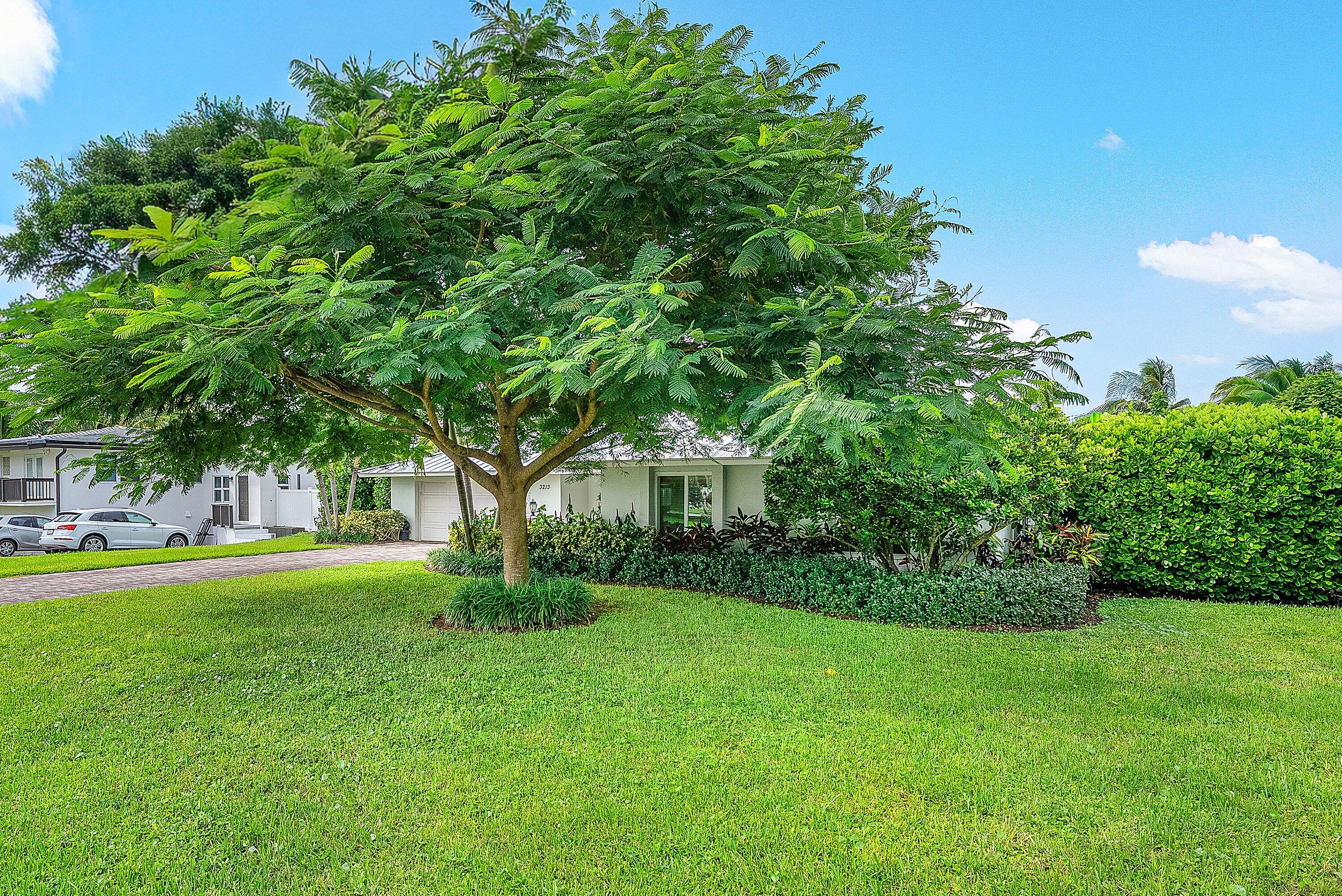 MLS #RX-11129557 image #5