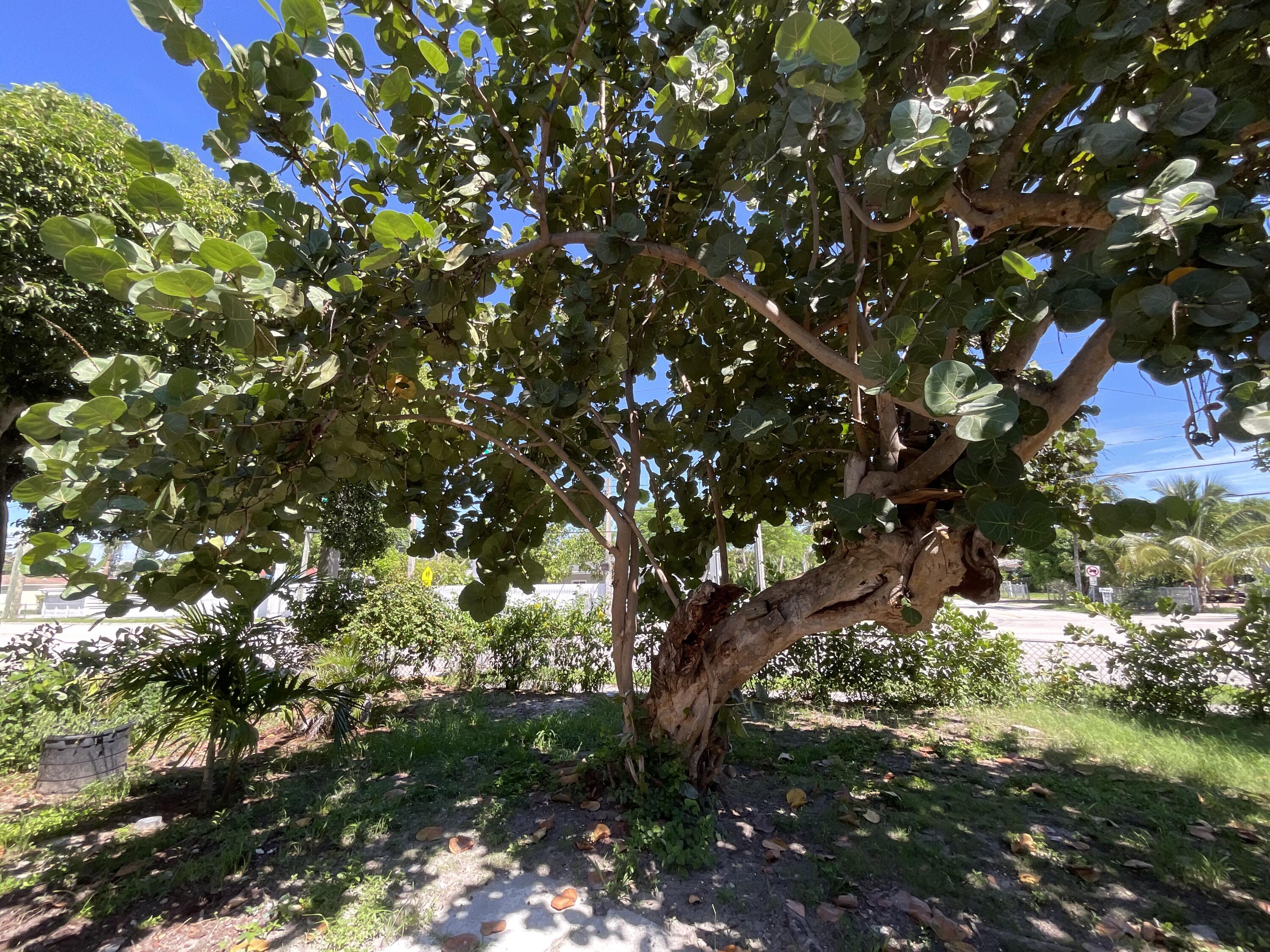 MLS #RX-11129578 image #35