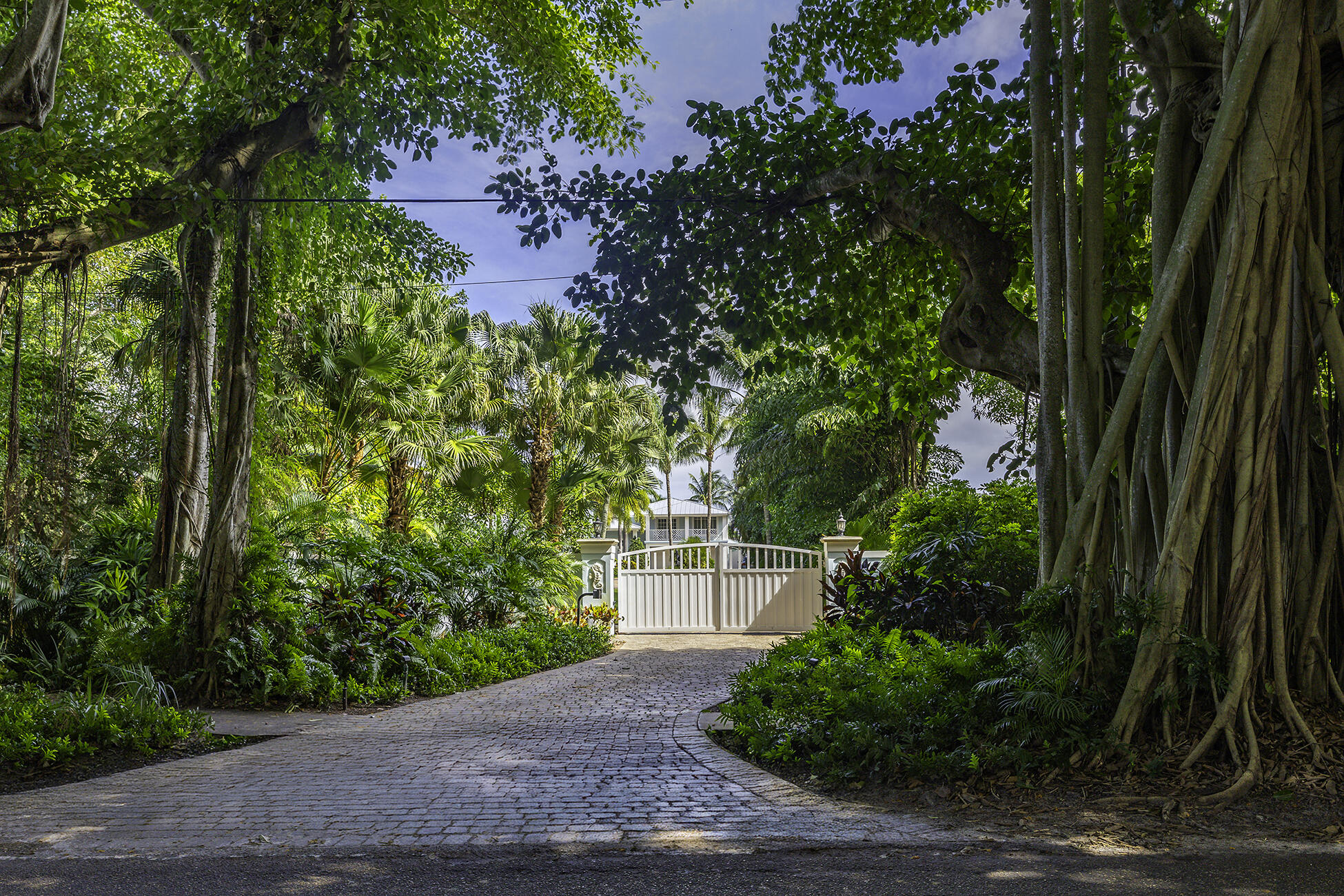 MLS #RX-11129865 image #3