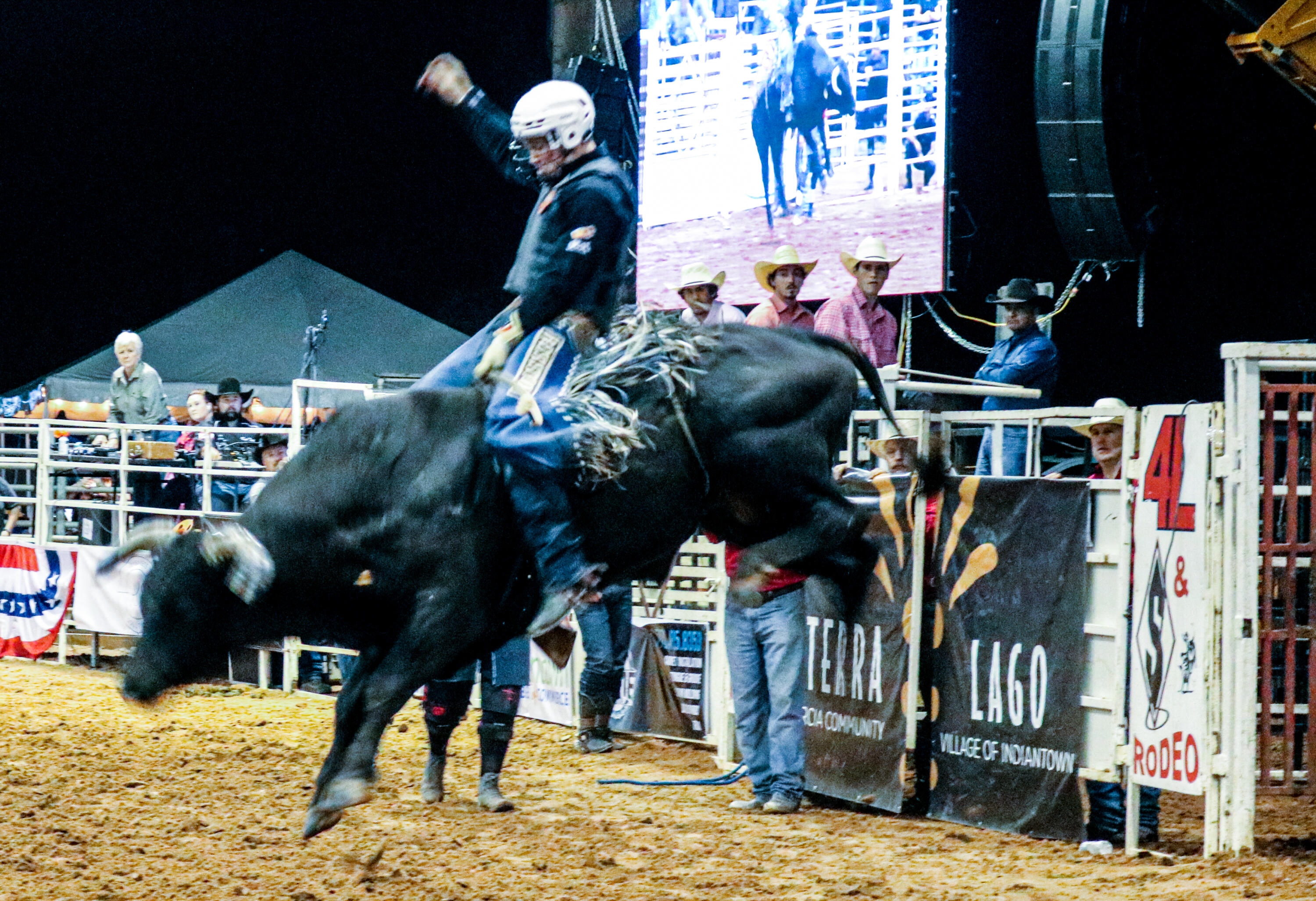 MLS #RX-11129958 image #12