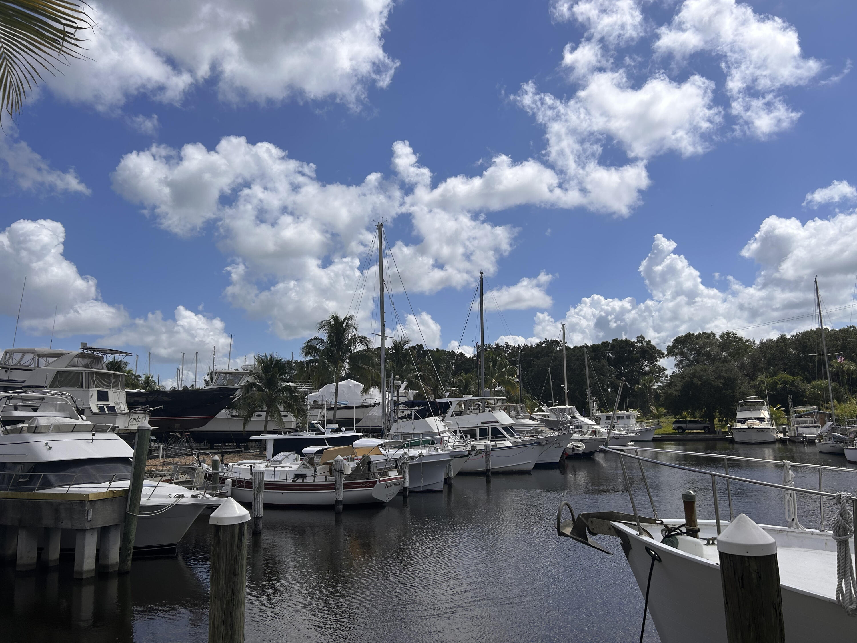 MLS #RX-11129958 image #9